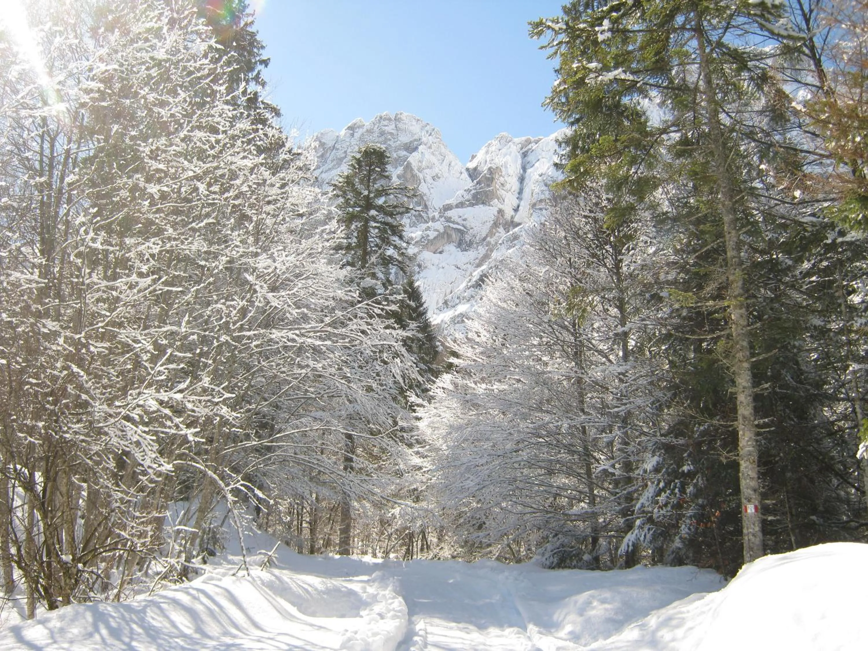 Activities in Hotel Chalet Giasenei