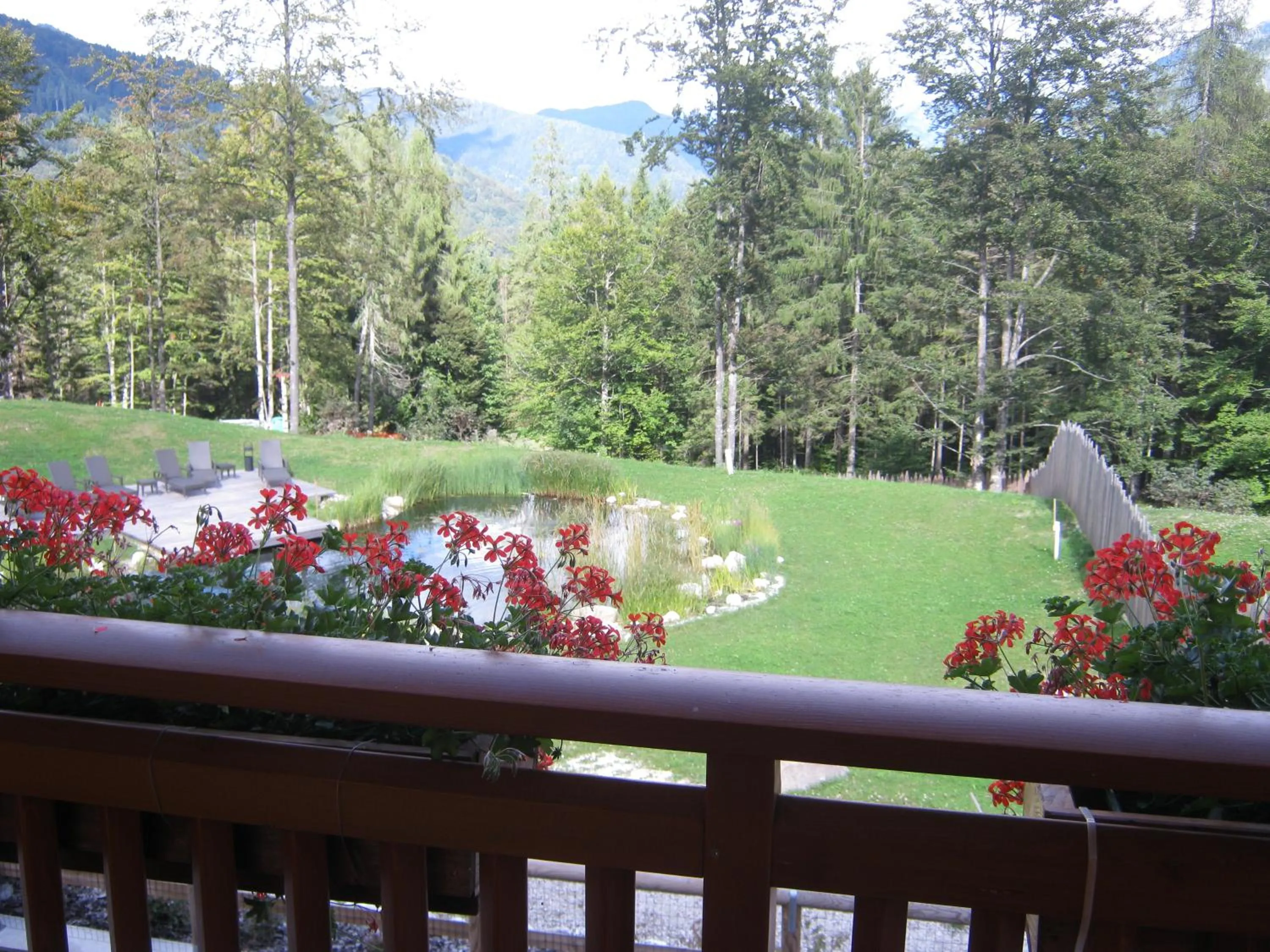 Balcony/Terrace in Hotel Chalet Giasenei