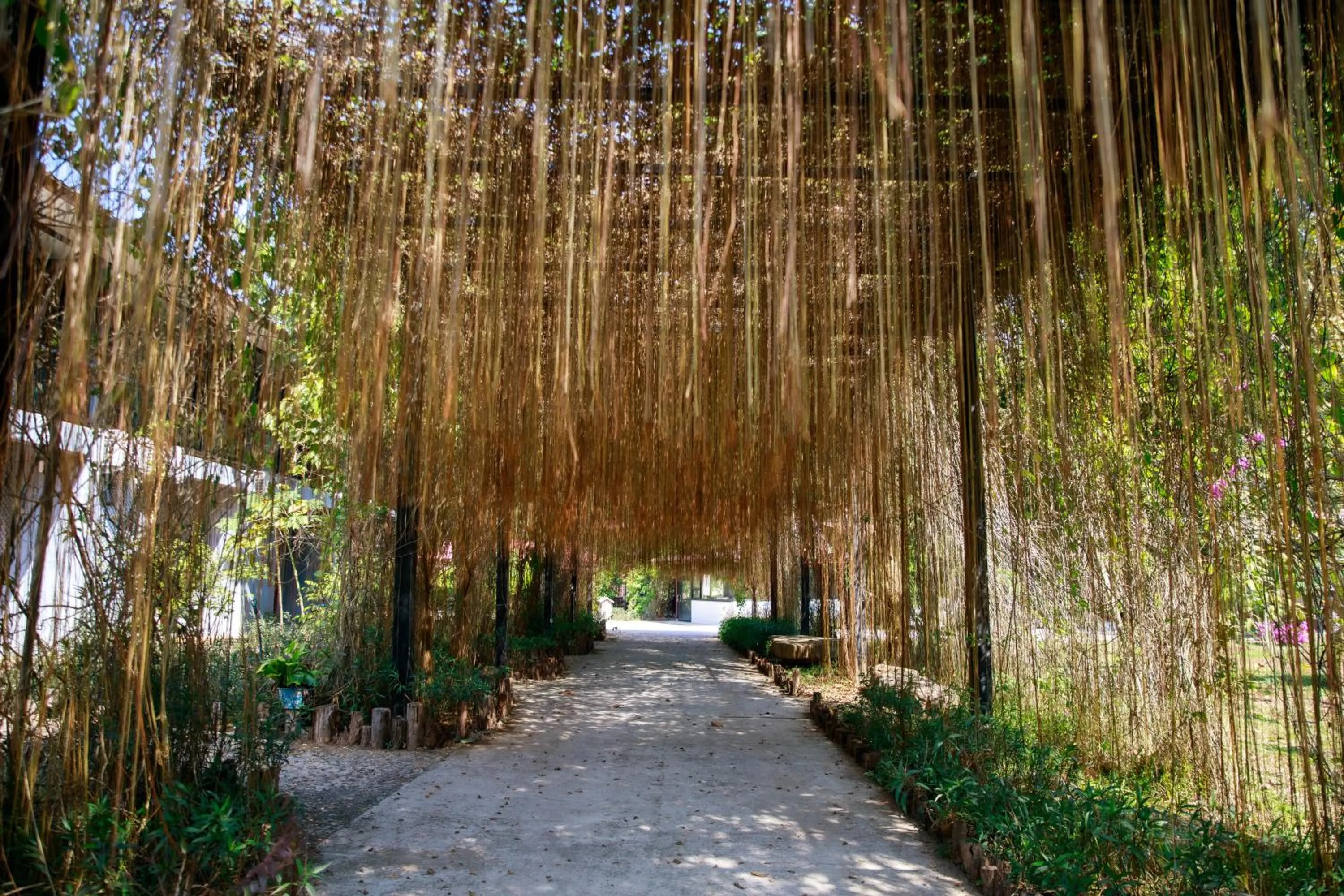 Natural landscape in Dansavanh Namngum Resort