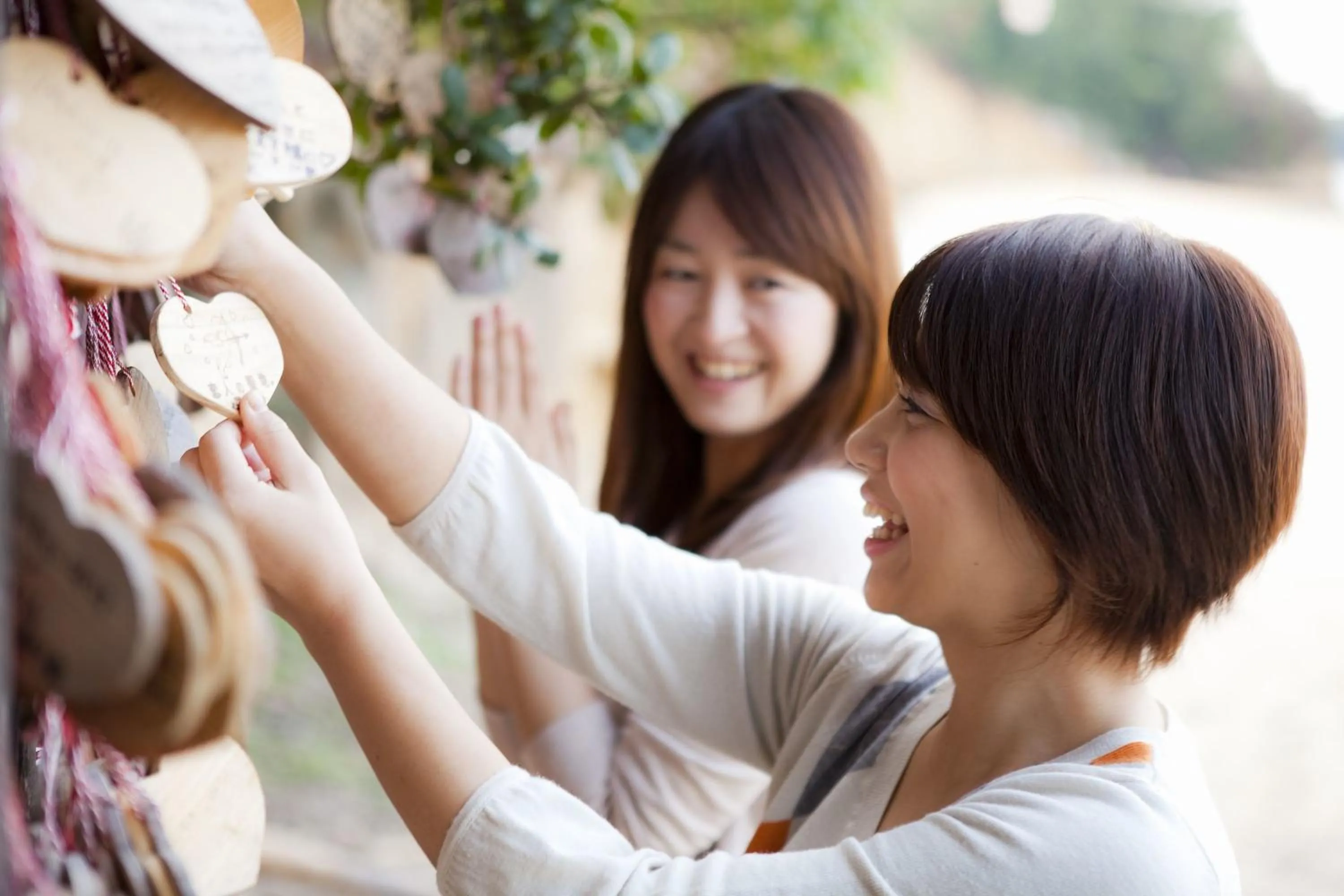 Garden in Shodoshima International Hotel