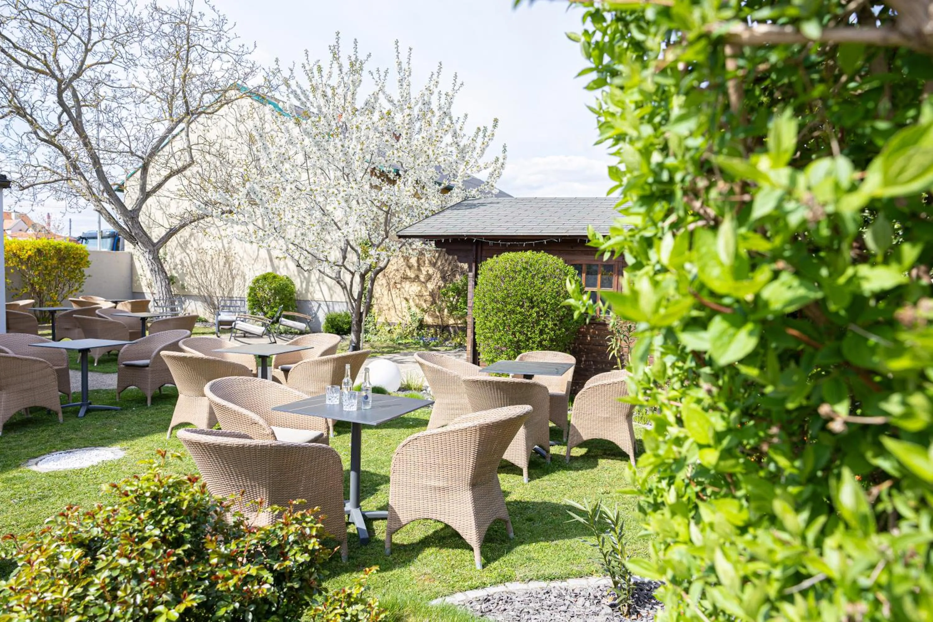 Garden in Das Reinisch Hotel - near Vienna Airport