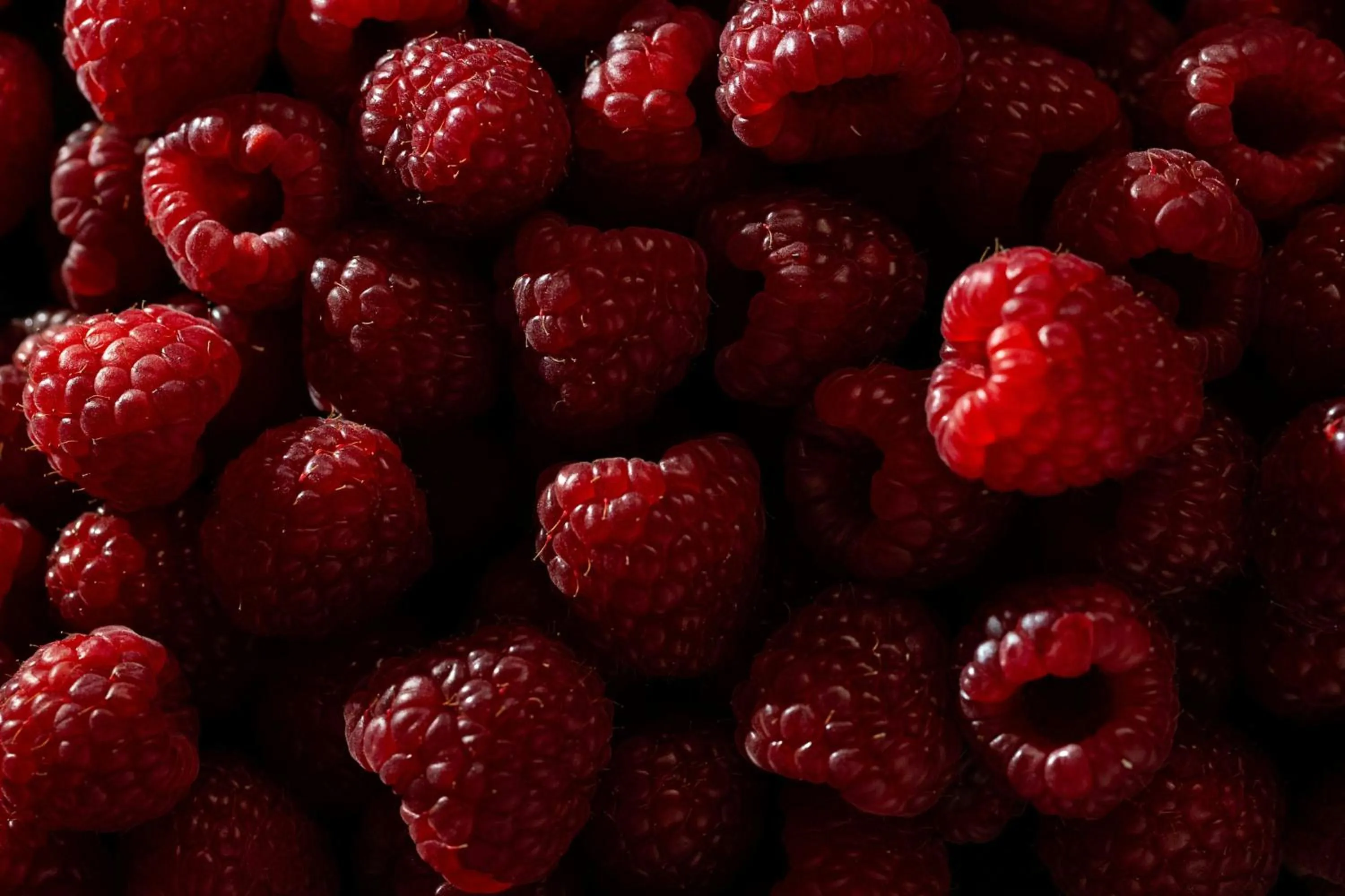 Restaurant/places to eat in Hotel Imperial, a Luxury Collection Hotel, Vienna