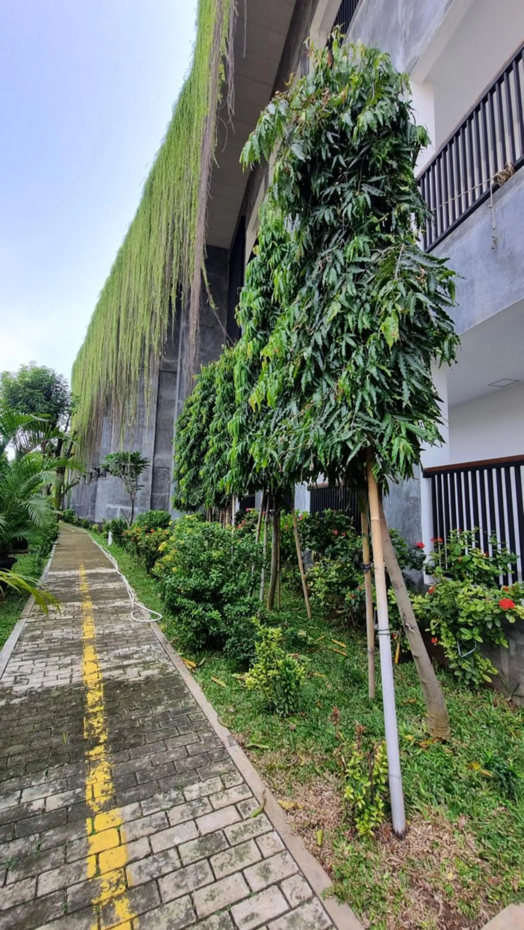 Property building in Guest House 555 NKI