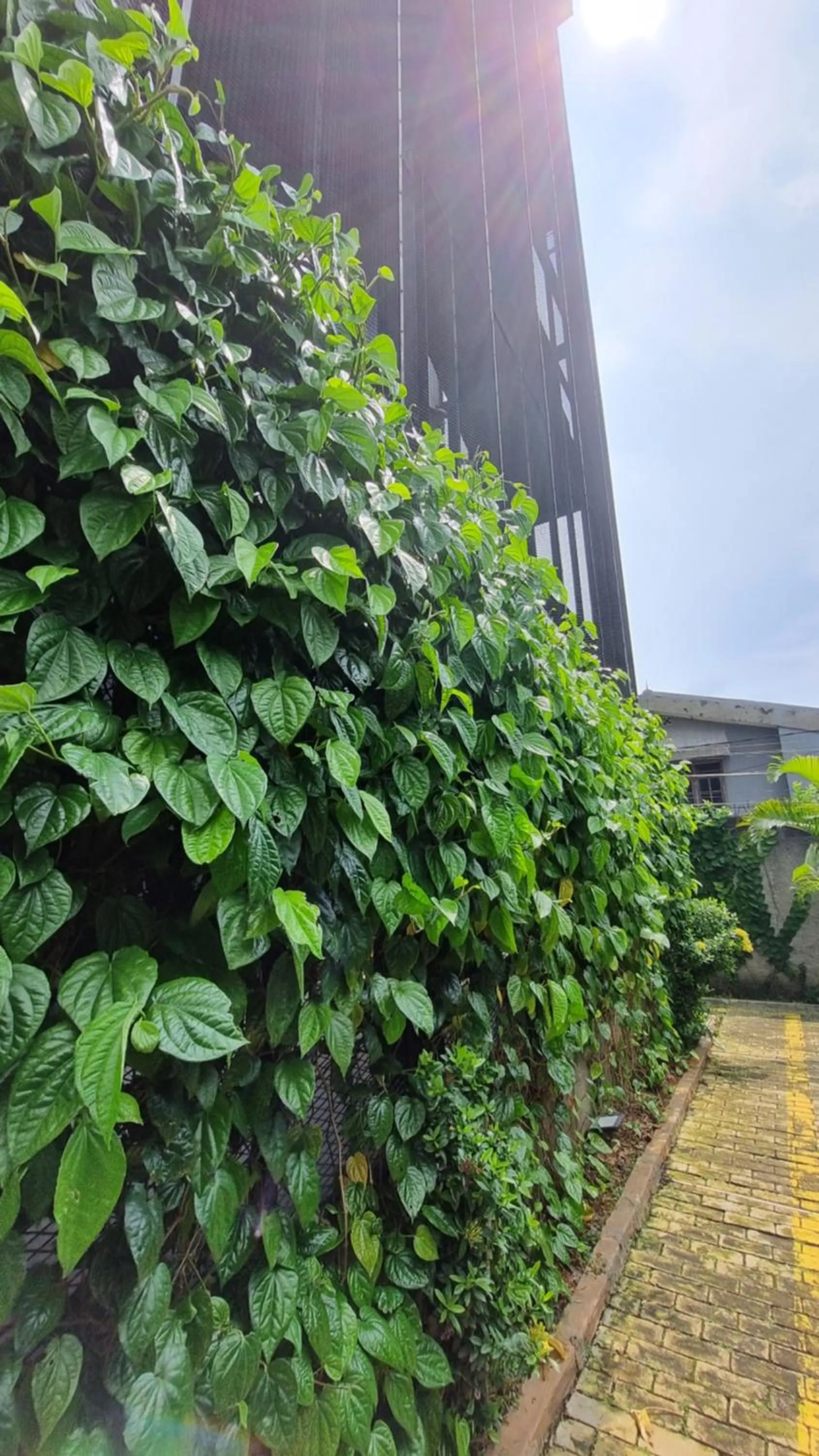 Property building in Guest House 555 NKI