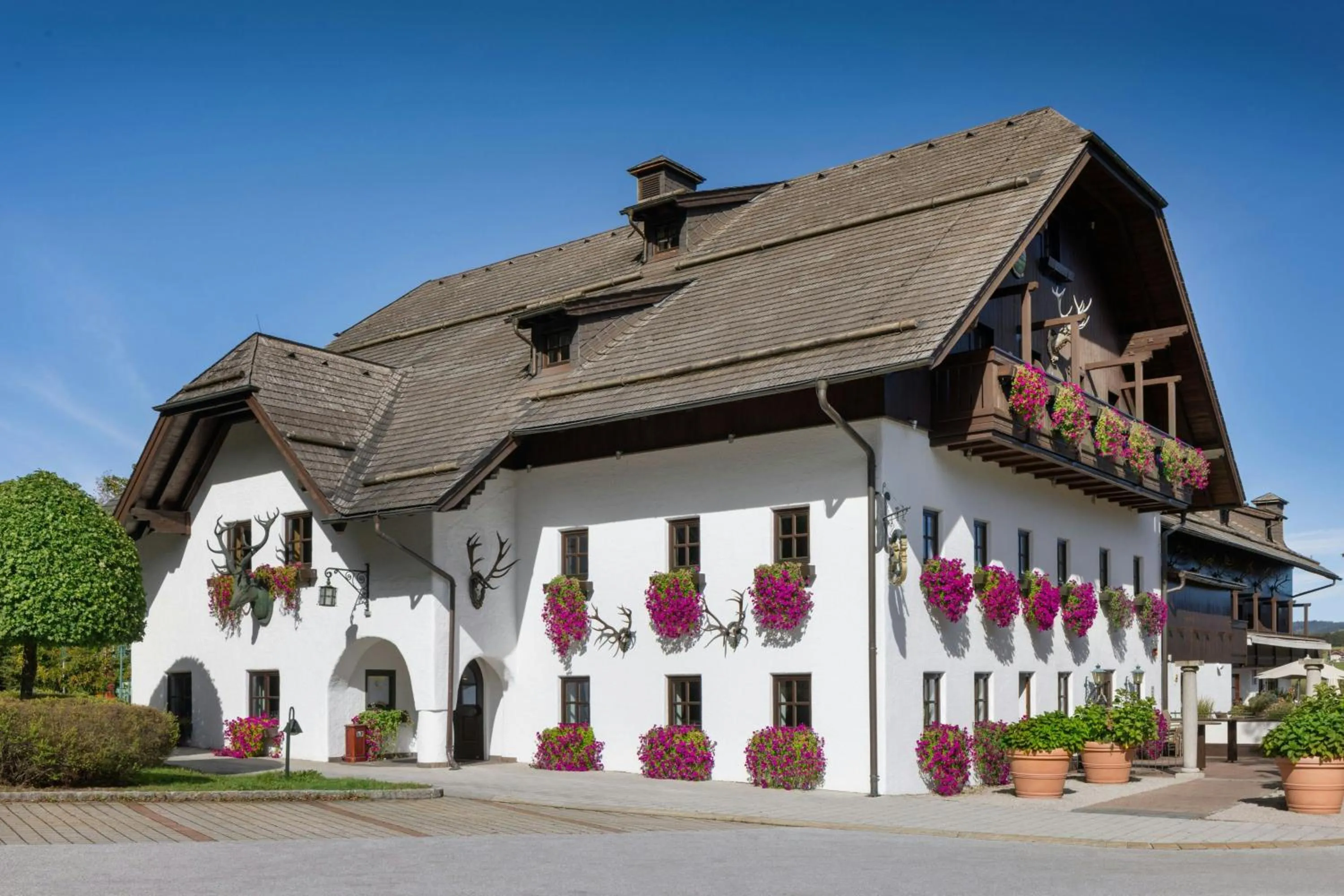 View (from property/room) in Arabella Jagdhof Resort am Fuschlsee, a Tribute Portfolio Hotel
