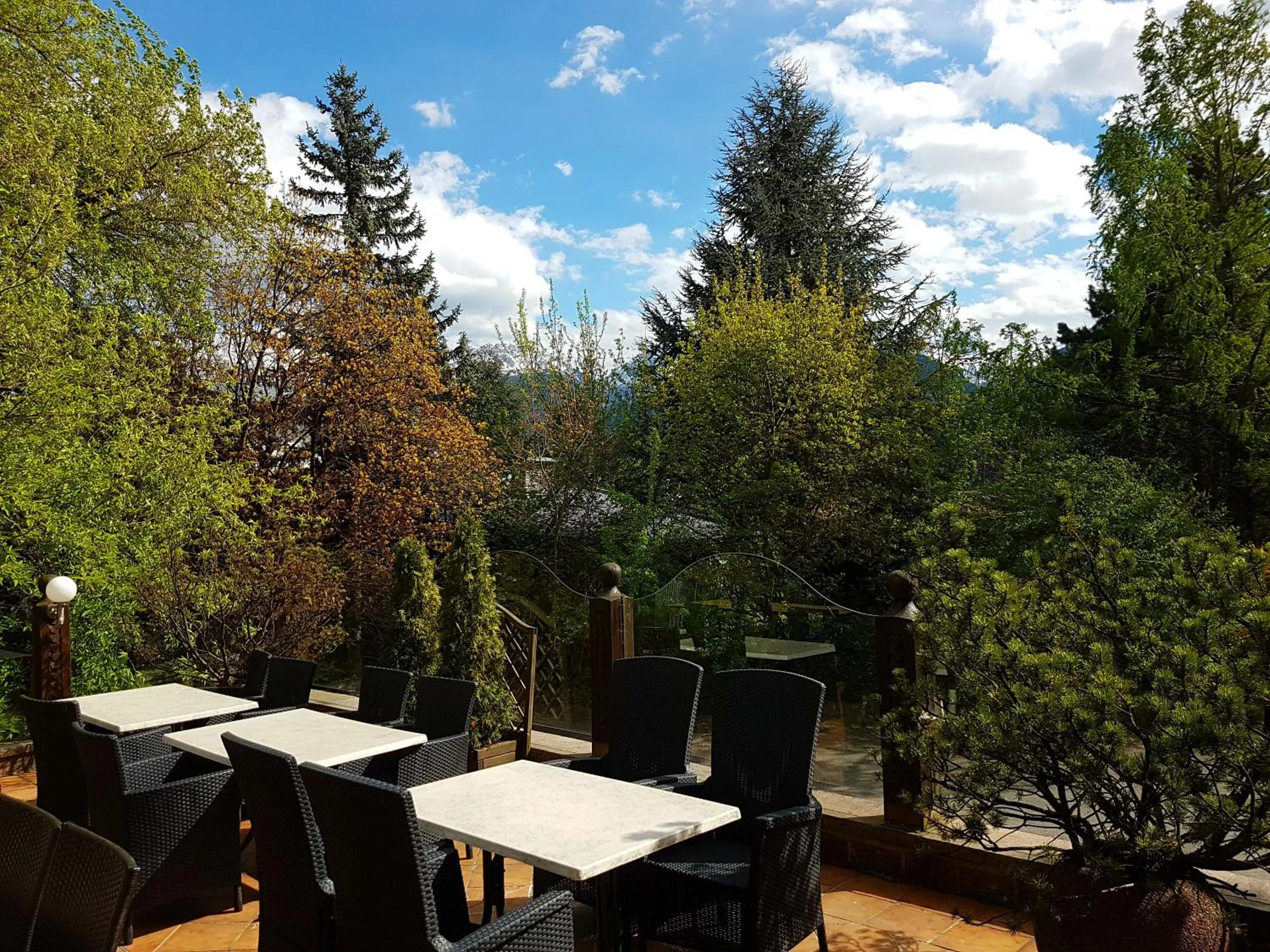 Garden in Hotel Tyrolis