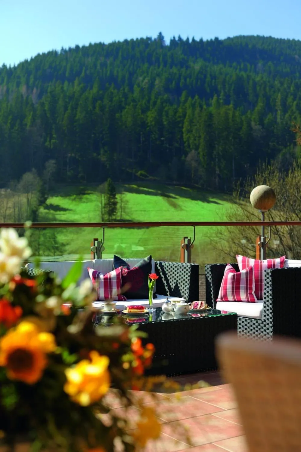 Balcony/Terrace in Wellnesshotel Tanne