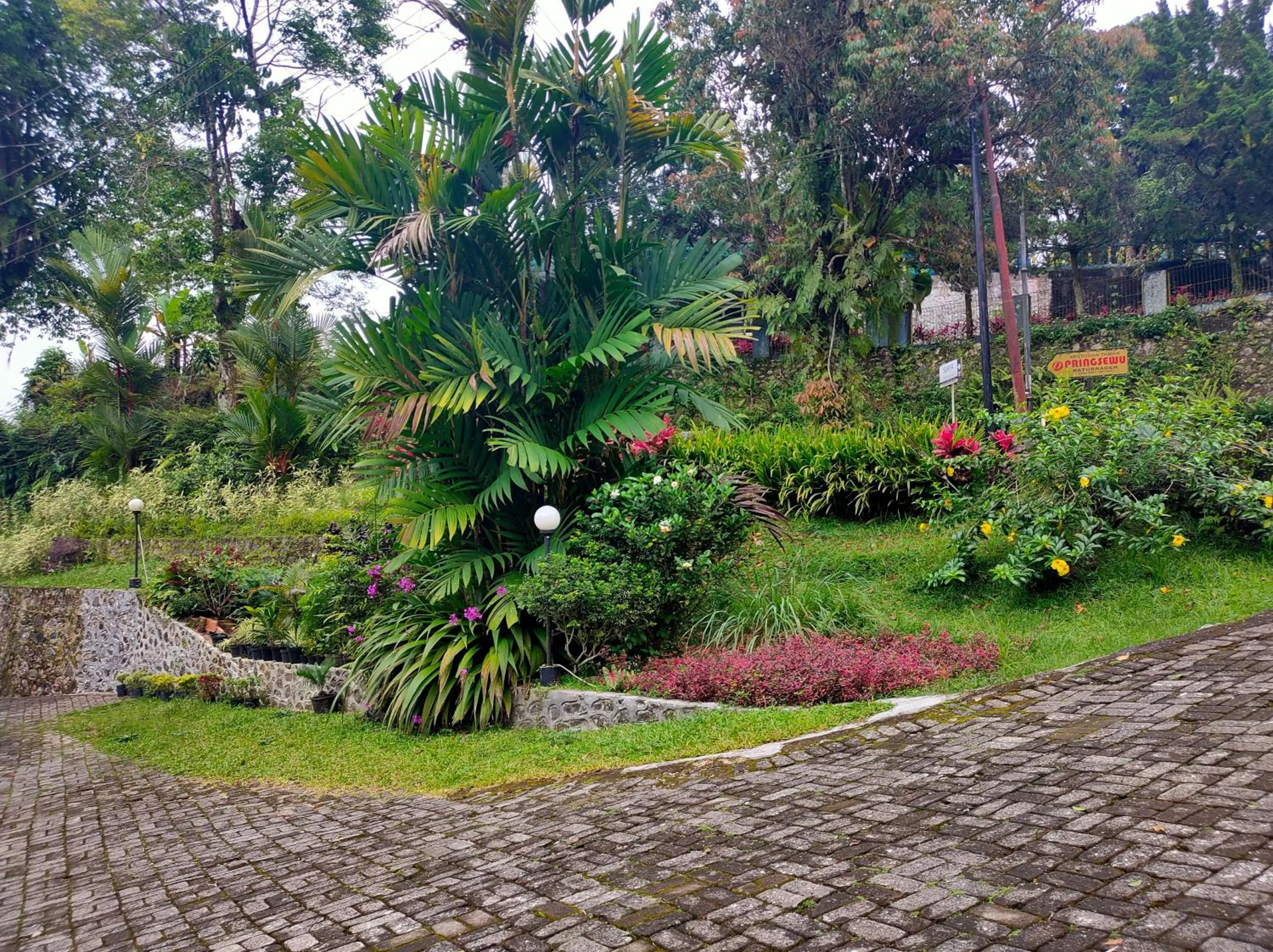 Garden in Hotel Anita Baturaden Mitra RedDoorz