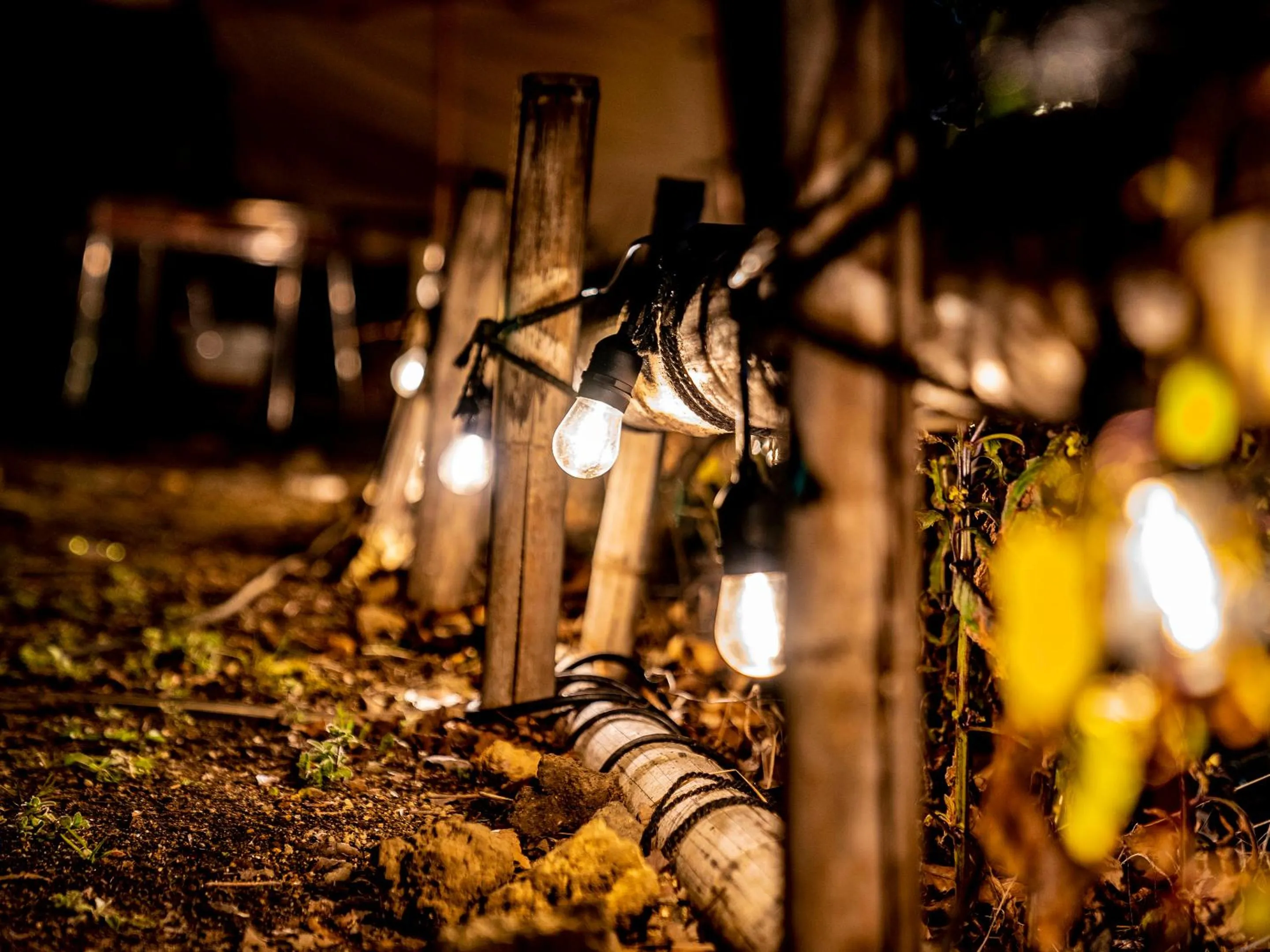 Property building in We Home Villa ～城ケ崎温泉～