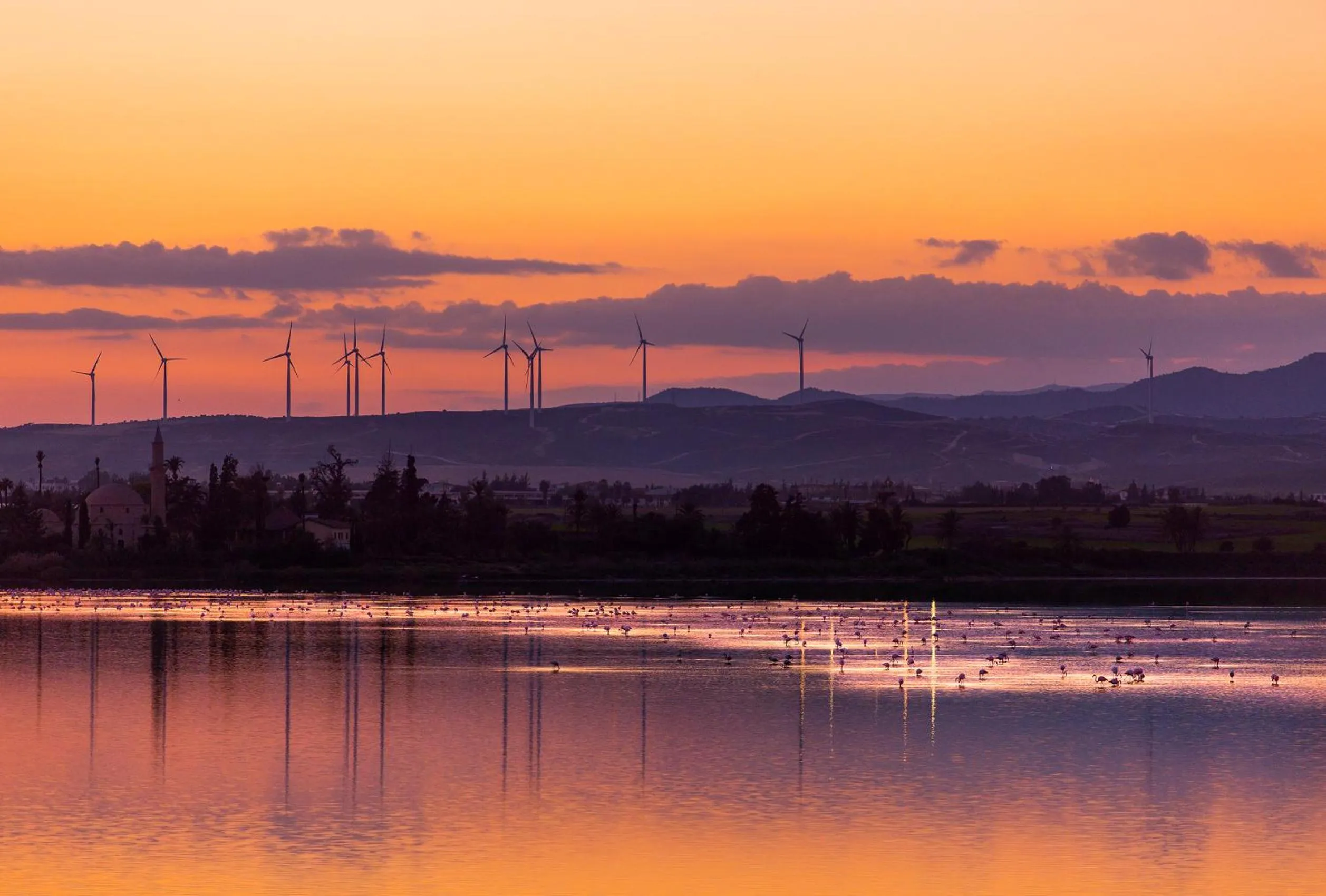 Natural landscape in LIV URBAN Suites