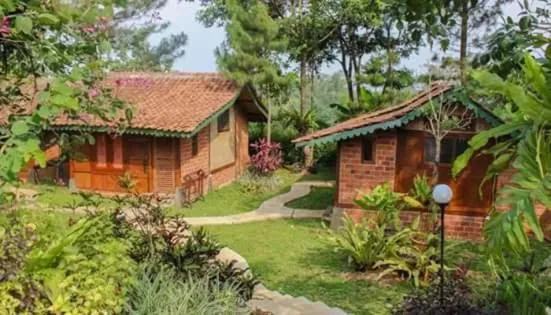 Garden view in Katumbiri Resort