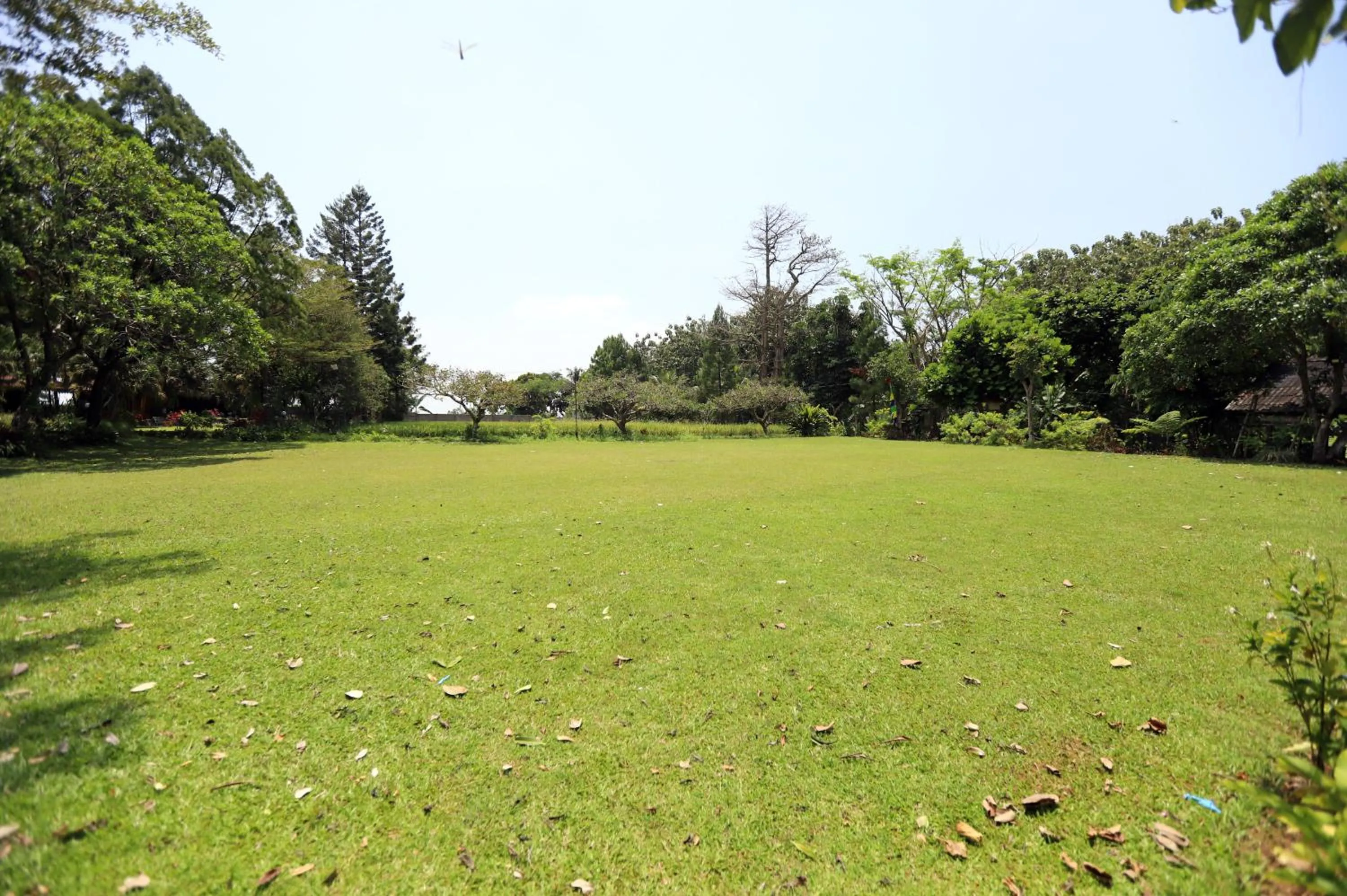 Garden in Katumbiri Resort