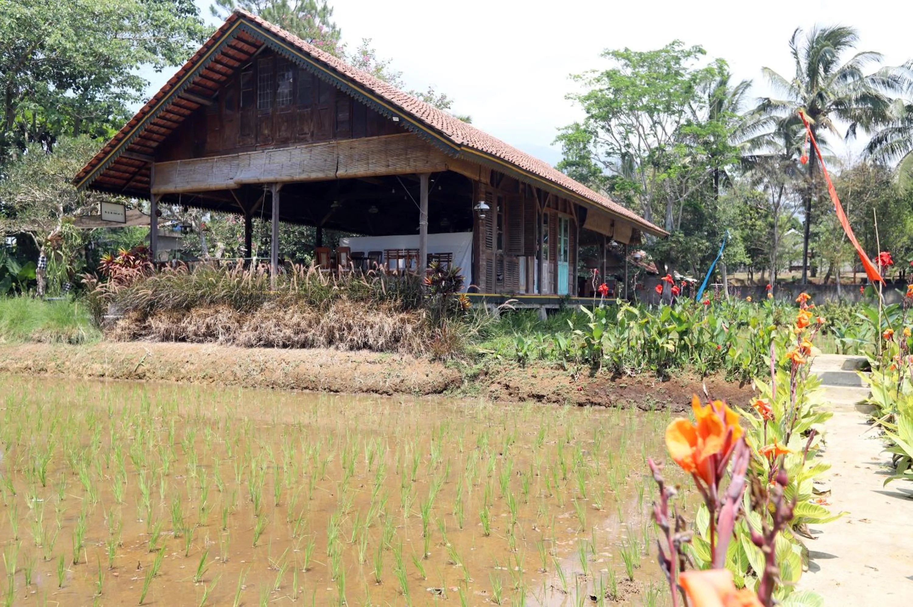 Garden view in Katumbiri Resort