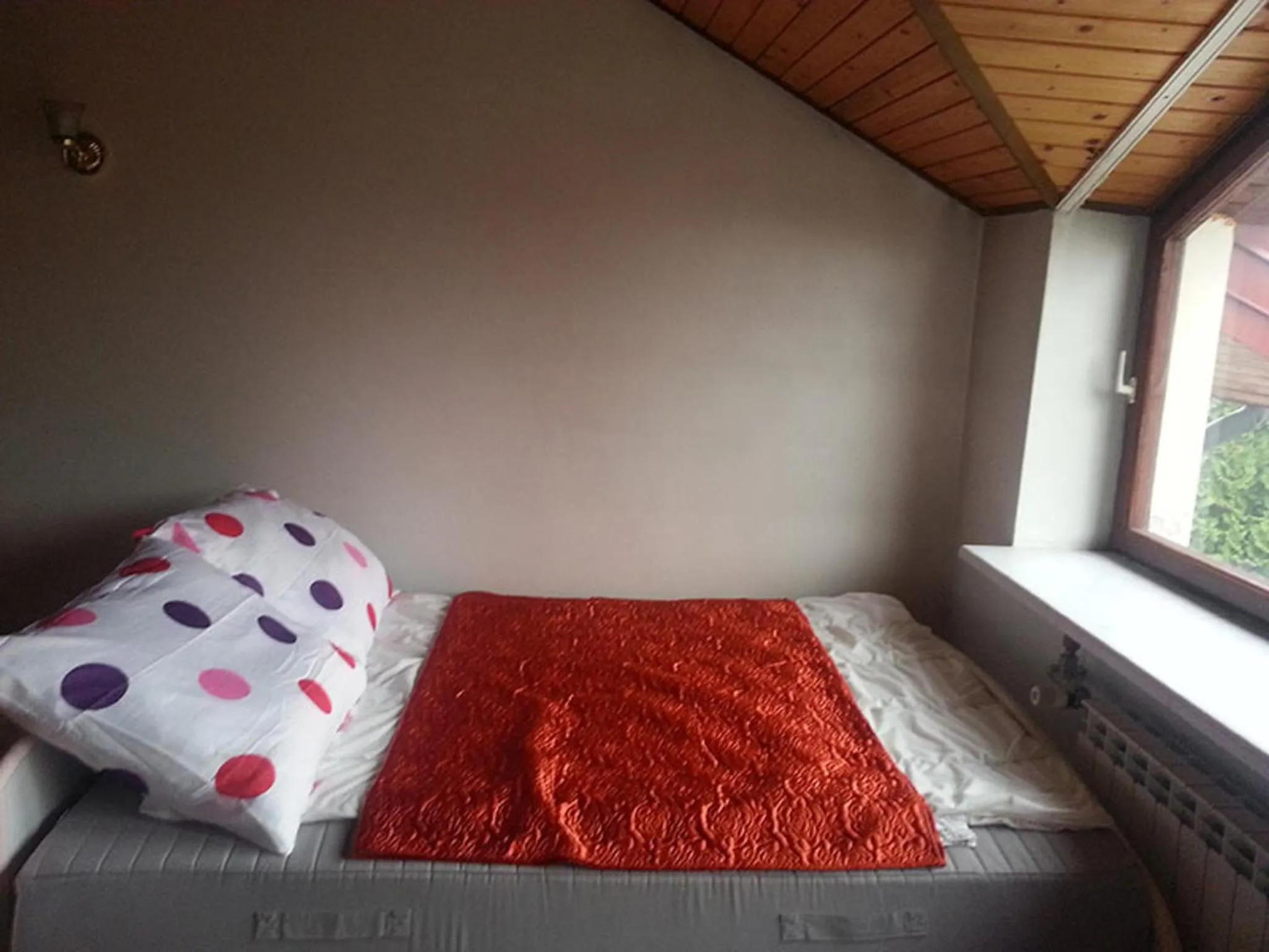 Photo of the whole room, Bed in Green Country Hostel