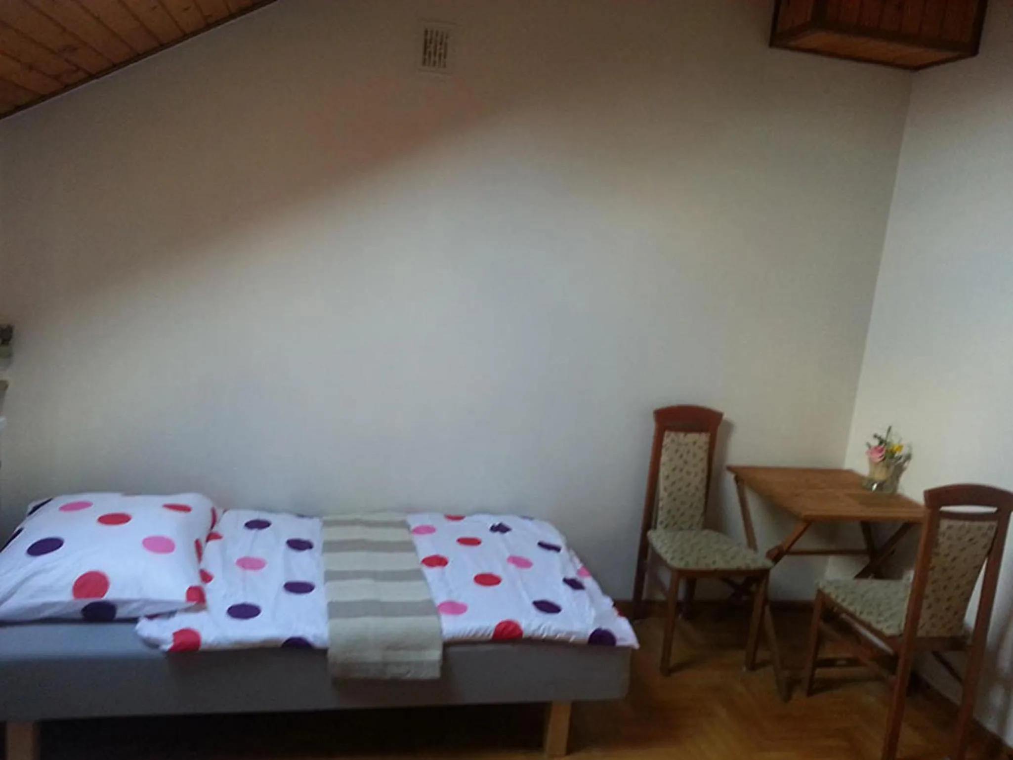 Photo of the whole room, Bed in Green Country Hostel