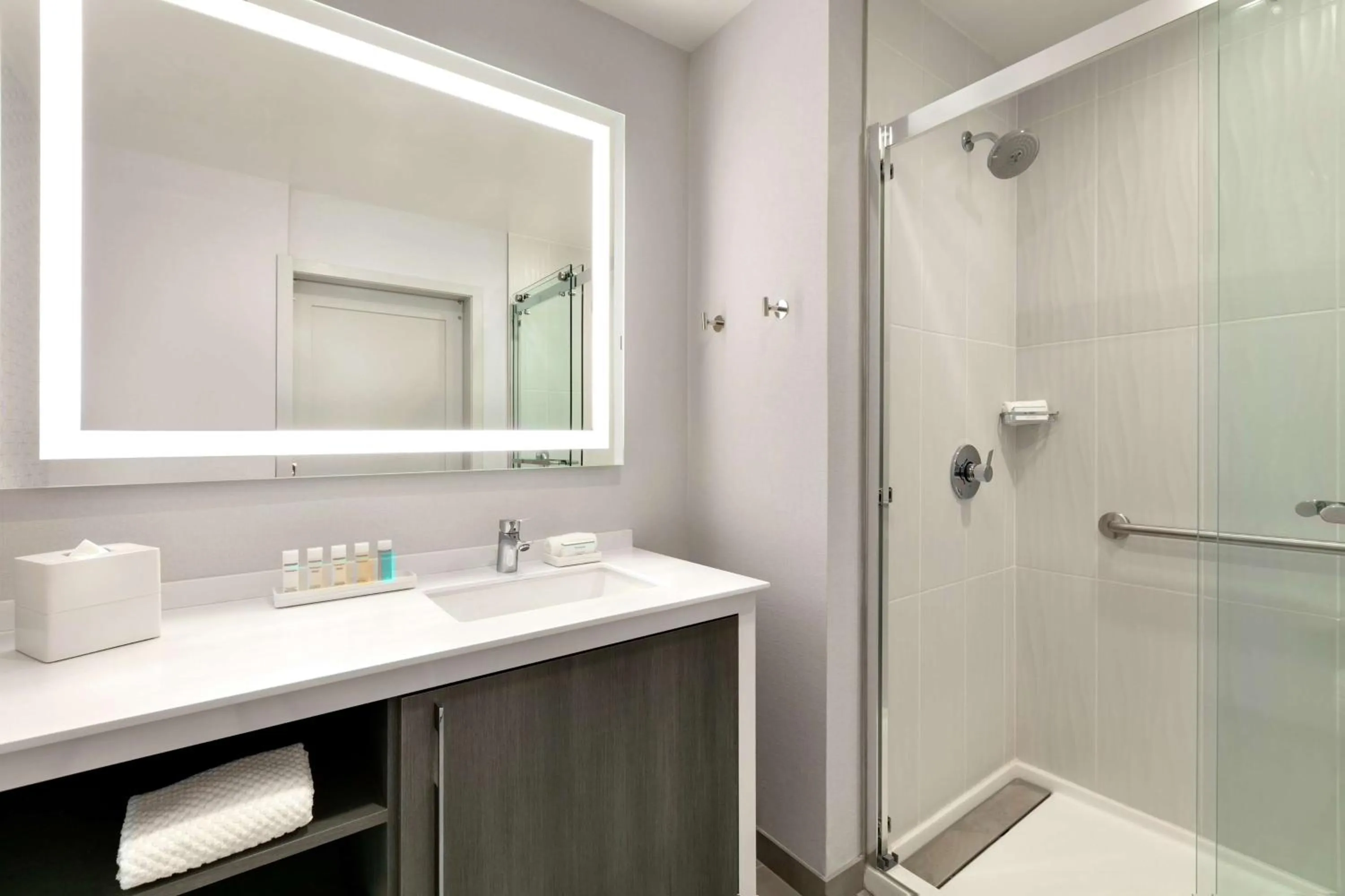 Bathroom in Embassy Suites by Hilton Atlanta Midtown