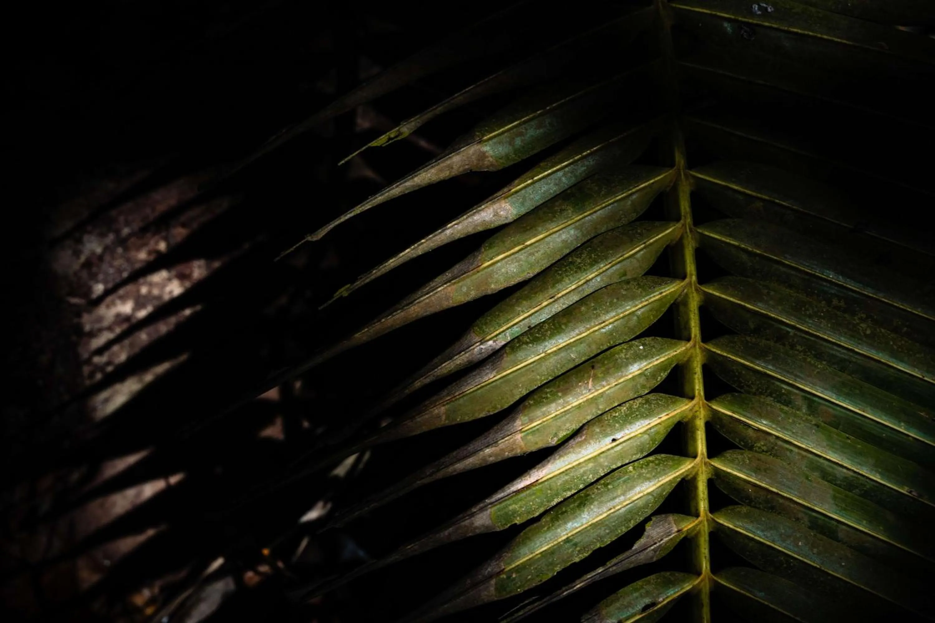 Night in Mango House Seychelles, LXR Hotels & Resorts