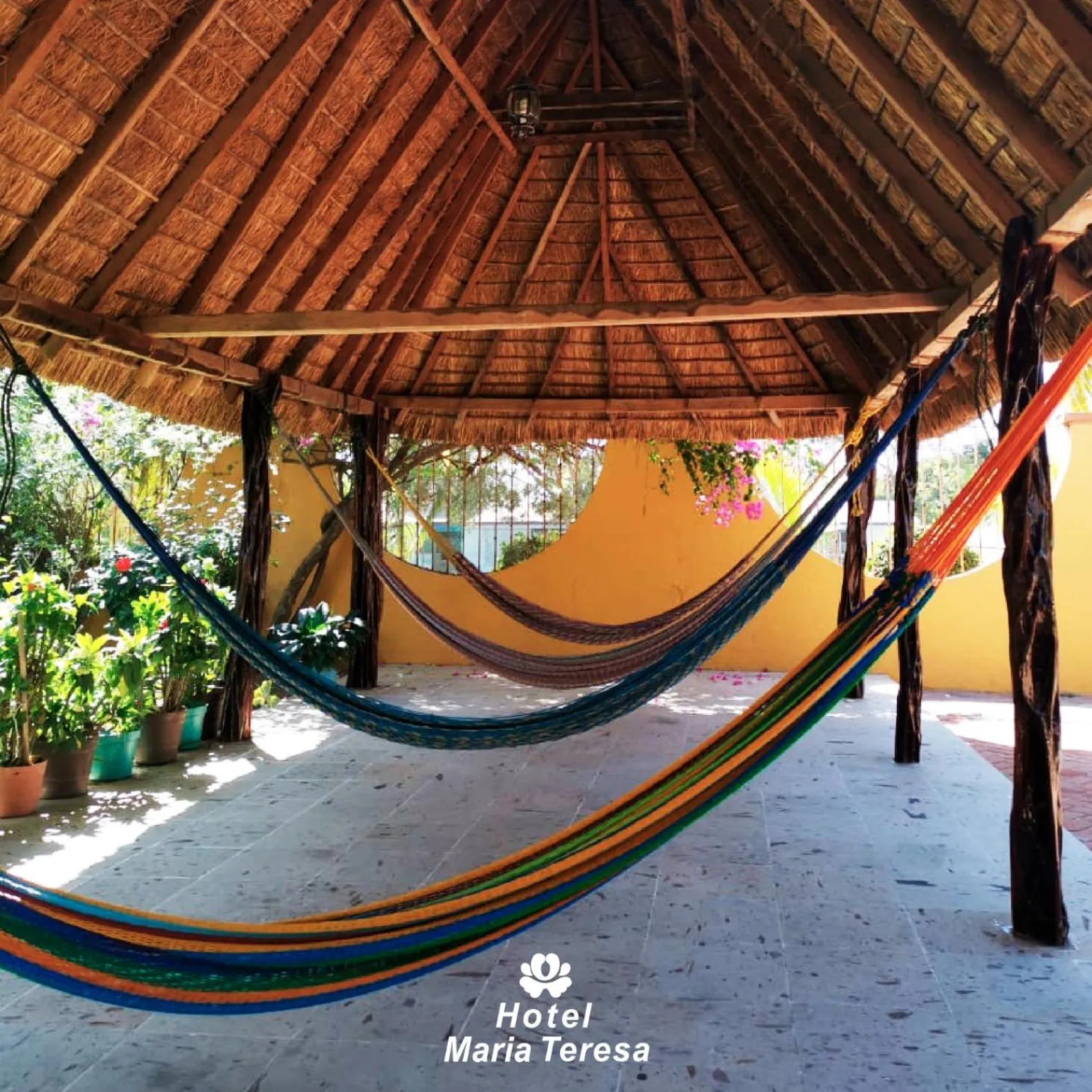 Patio in HOTEL MARIA TERESA