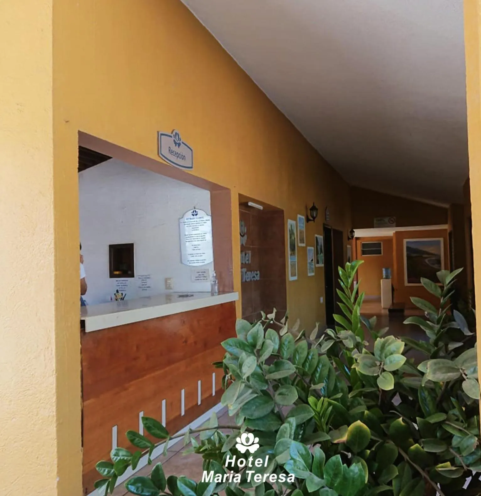 Lobby or reception in HOTEL MARIA TERESA