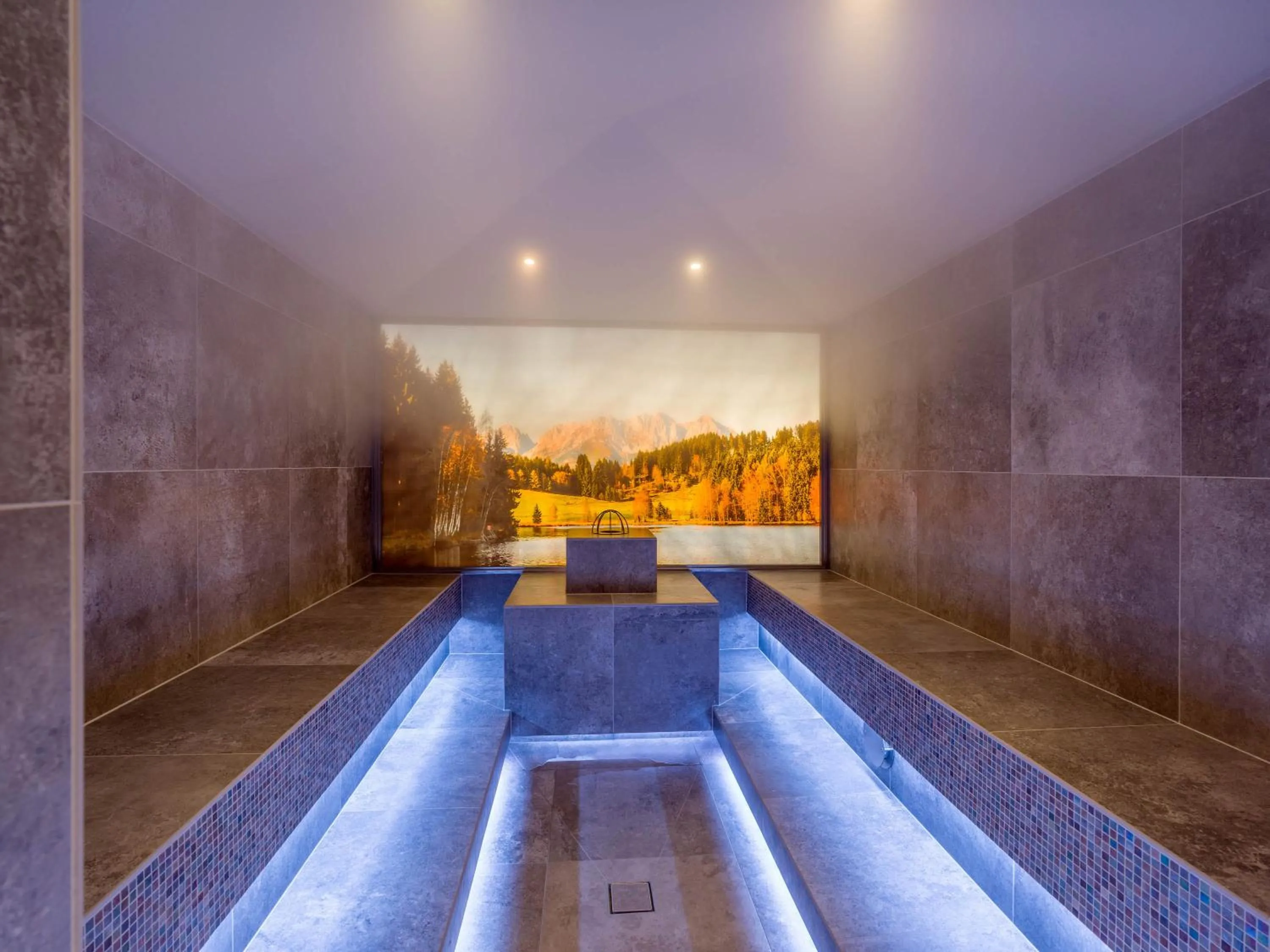 Steam room in Hotel & Spa Sonne 4 Sterne Superior
