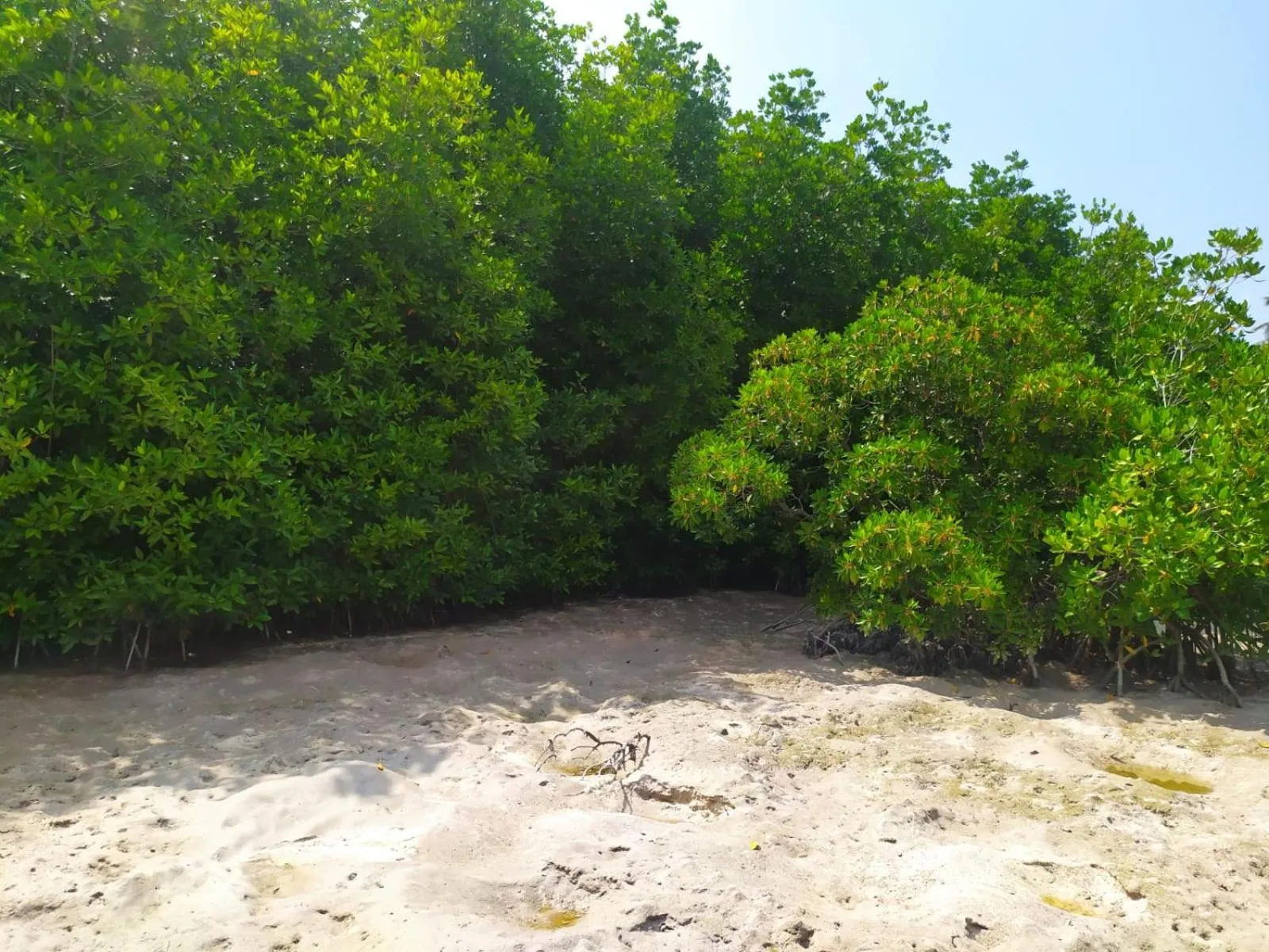 Day in Courtyard Guesthouse