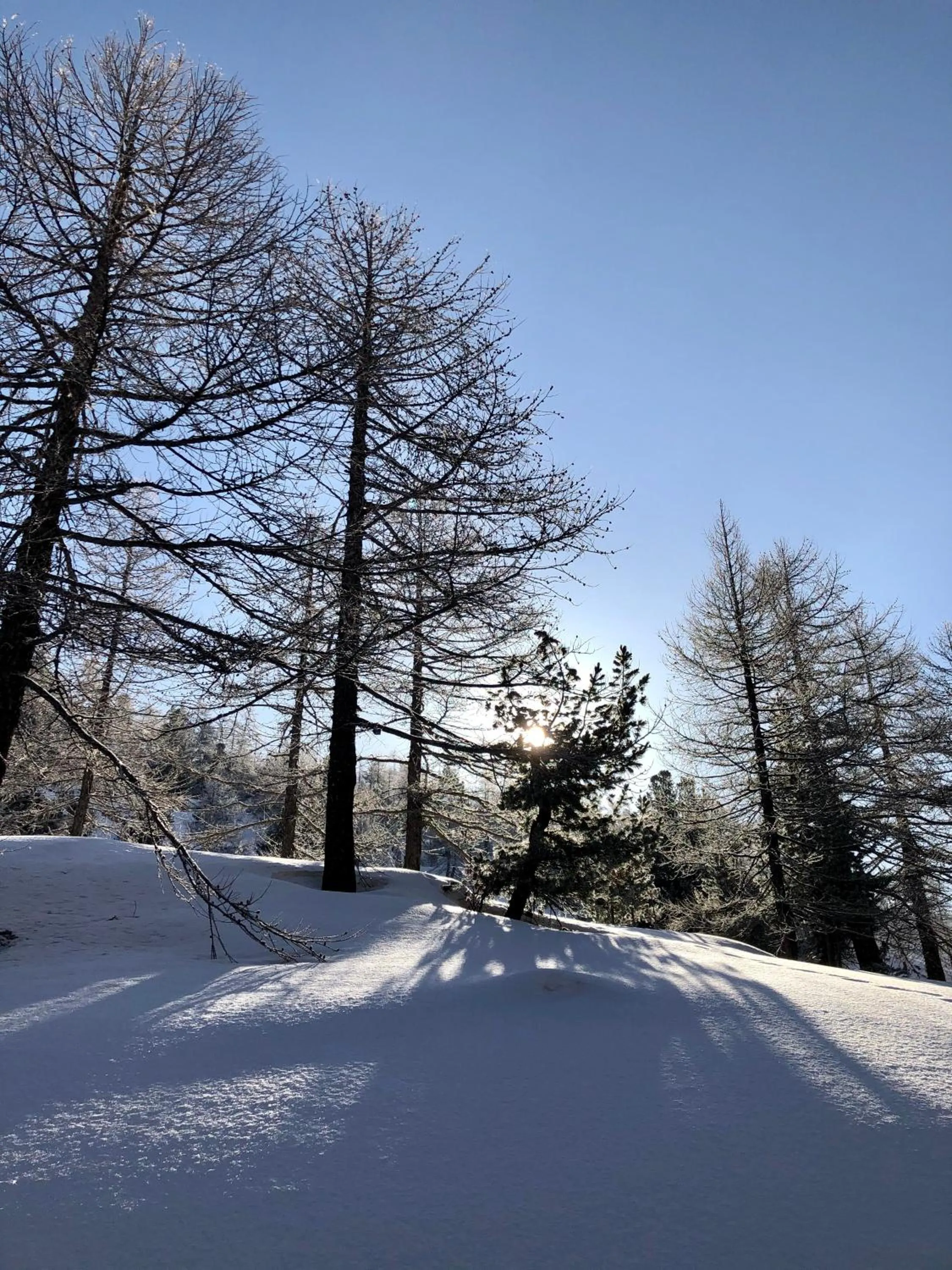 Mountain view in Rifugio Baita Gimont