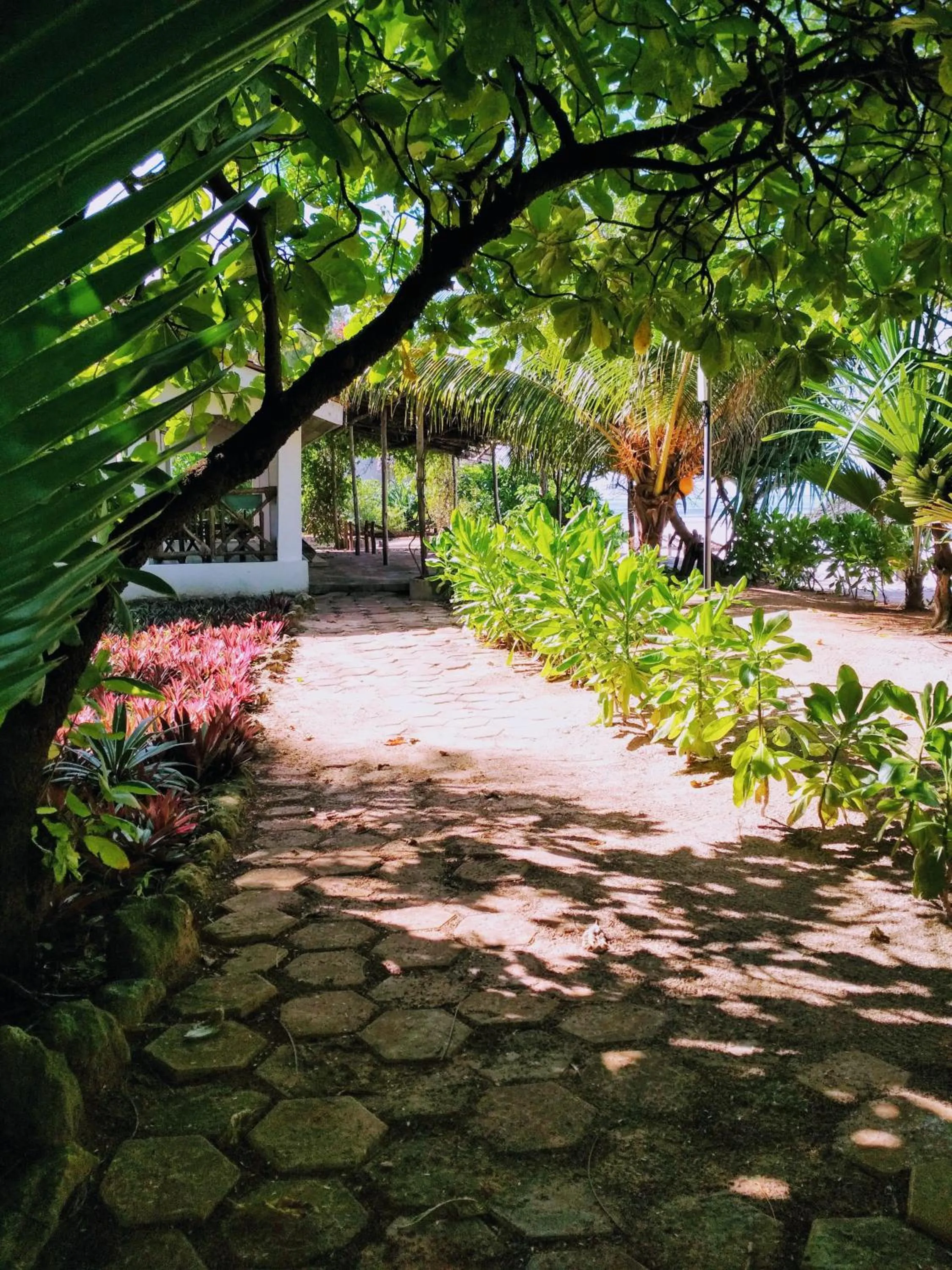 Panga Chumvi Beach Resort