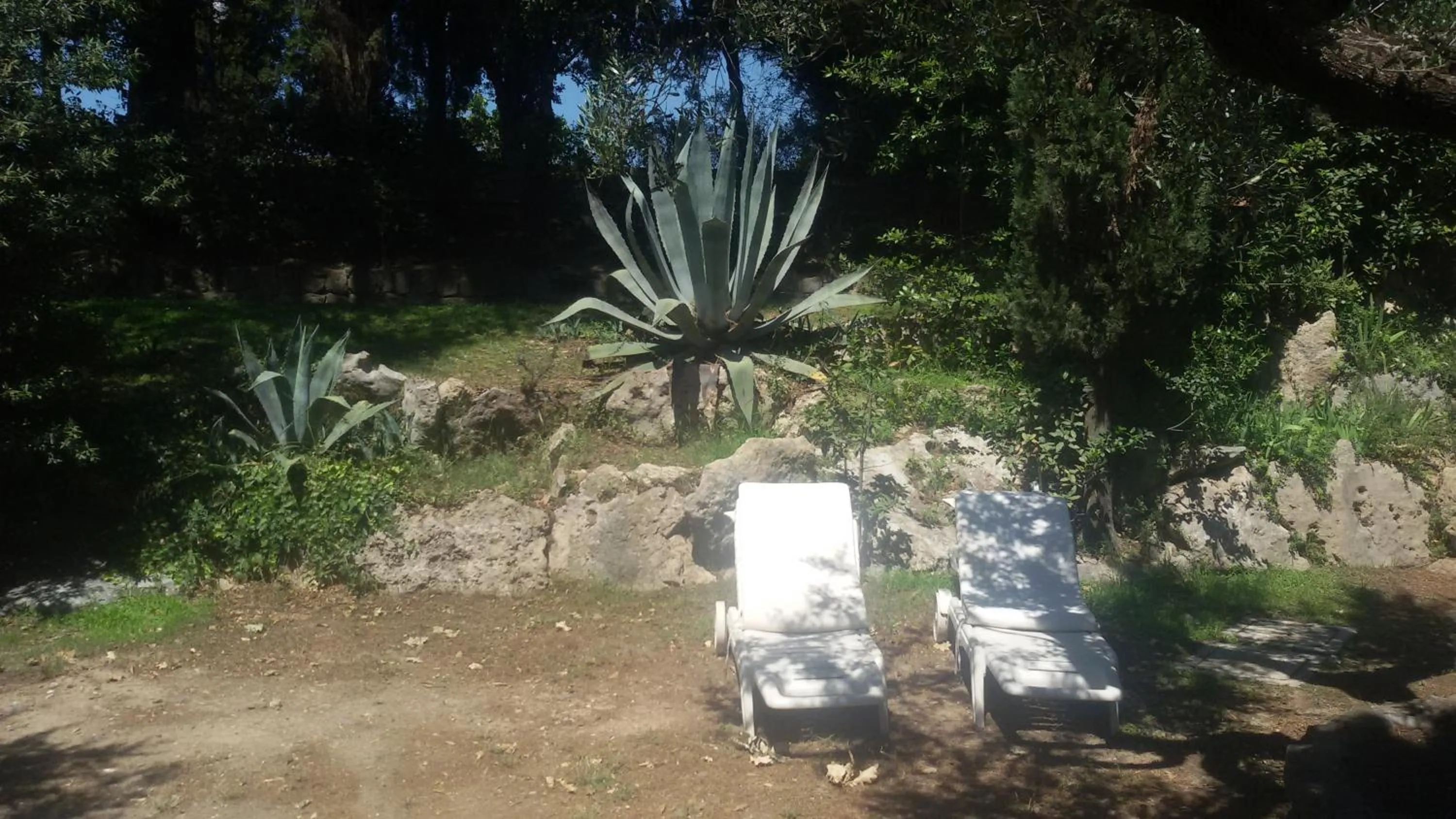 Garden in La Dolce Casetta