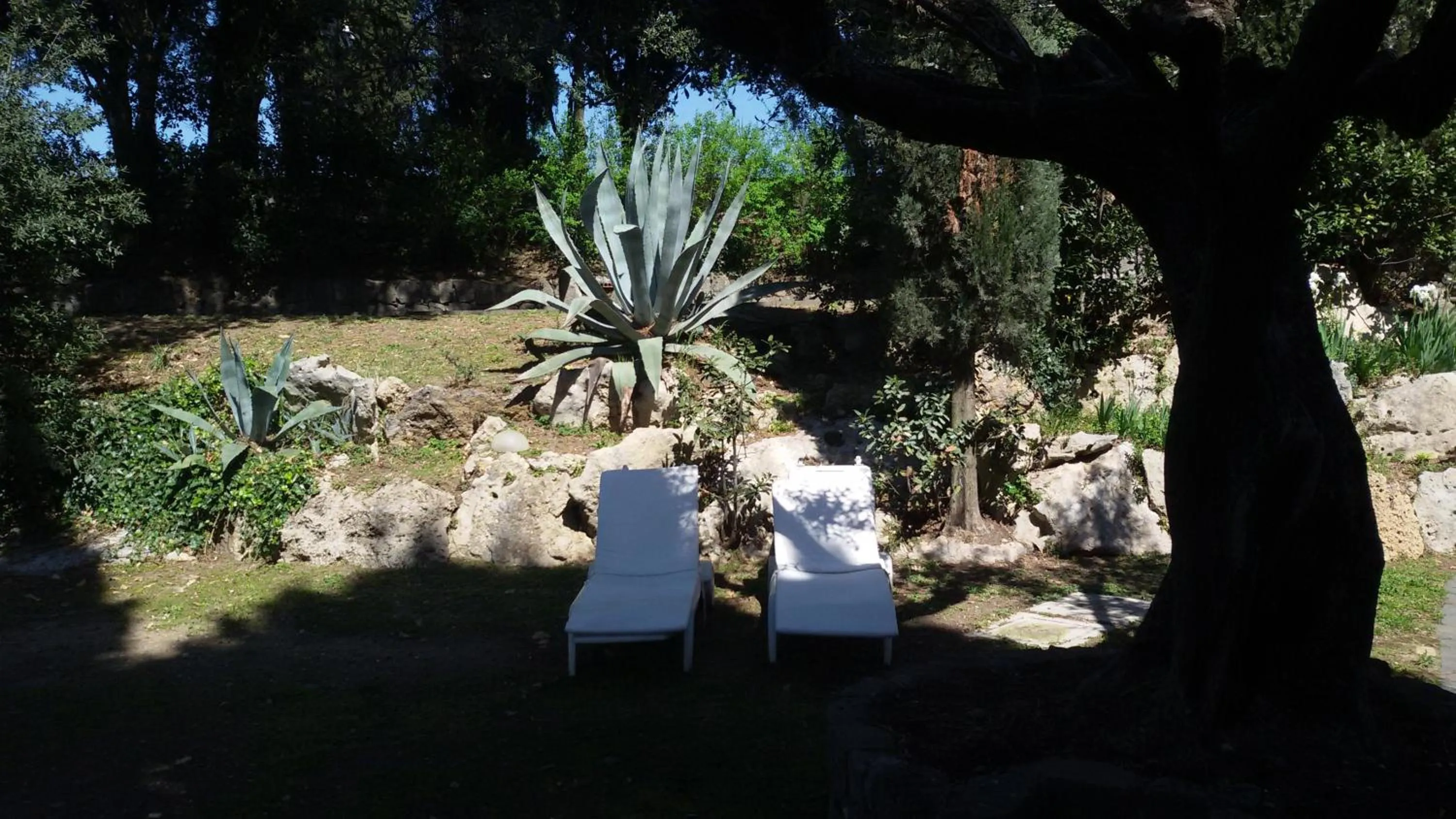 Garden in La Dolce Casetta