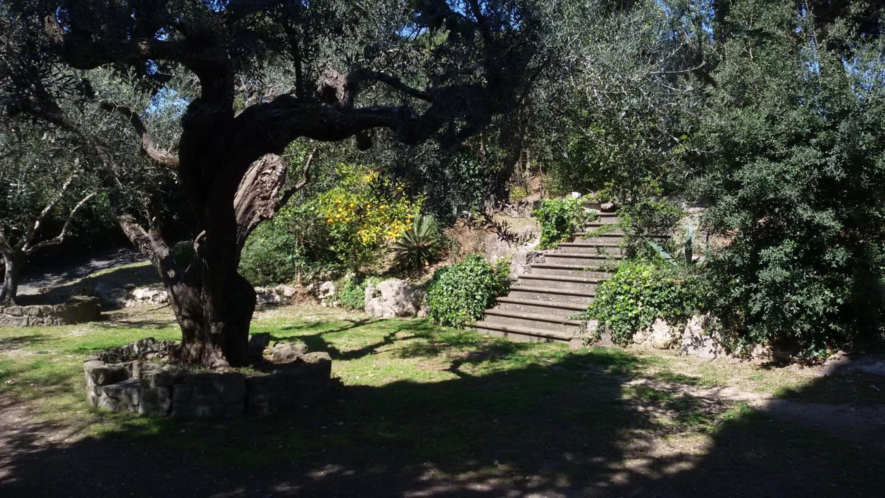 Garden view in La Dolce Casetta
