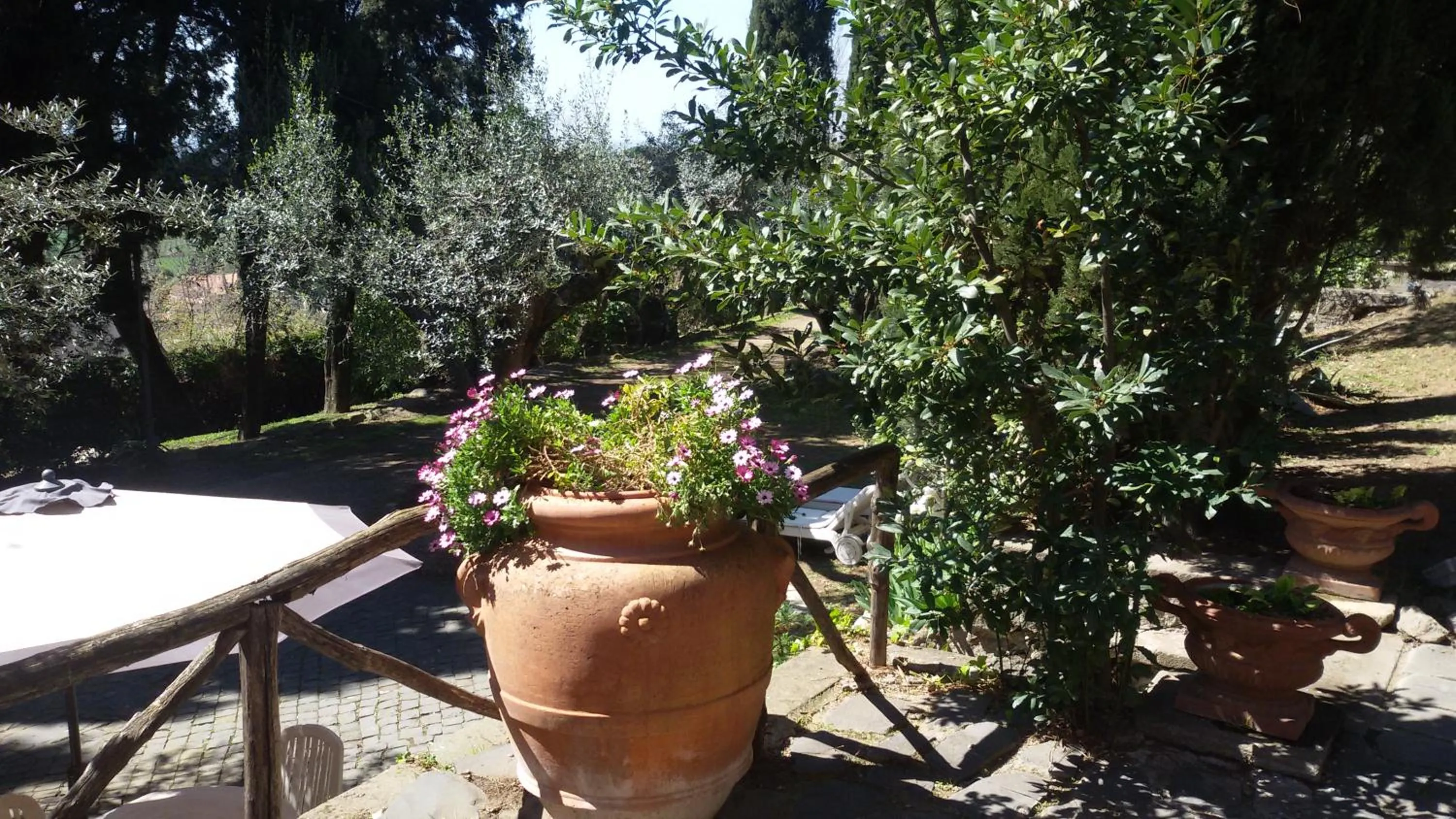 Garden view in La Dolce Casetta
