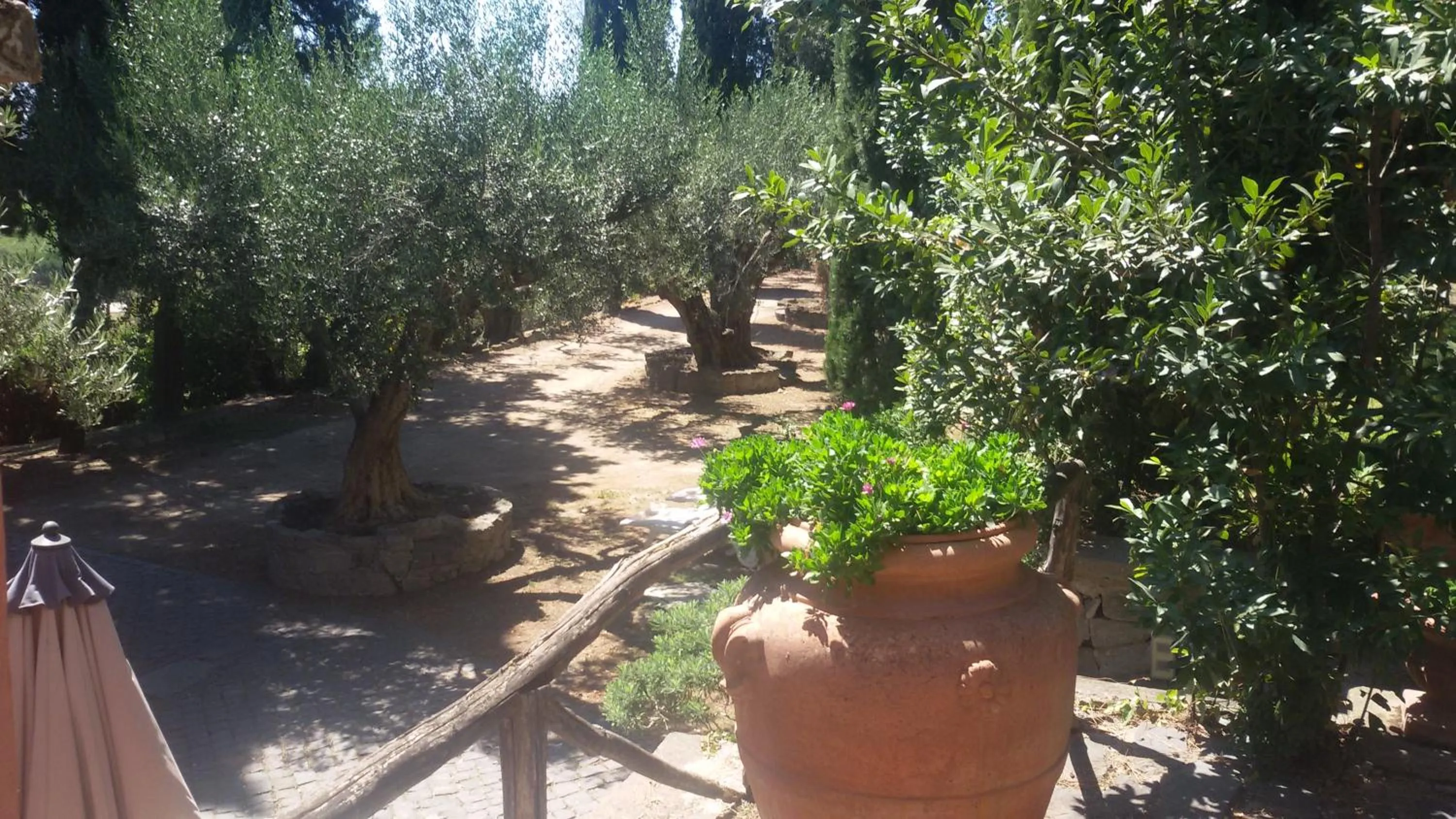 Decorative detail in La Dolce Casetta