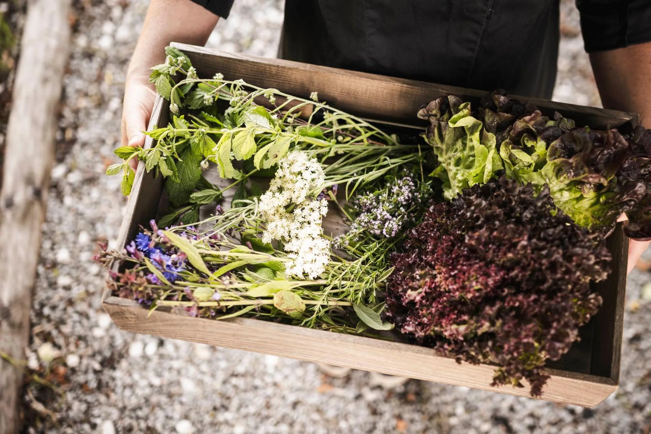Property building in Strasserwirt - Ansitz zu Tirol