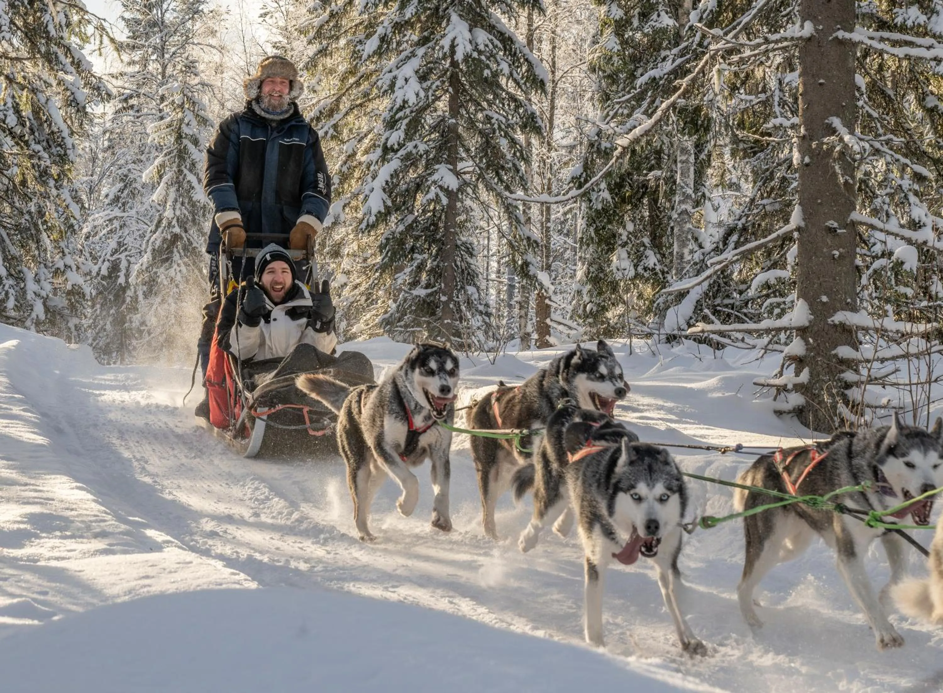 Activities in Ukkohalla Chalets