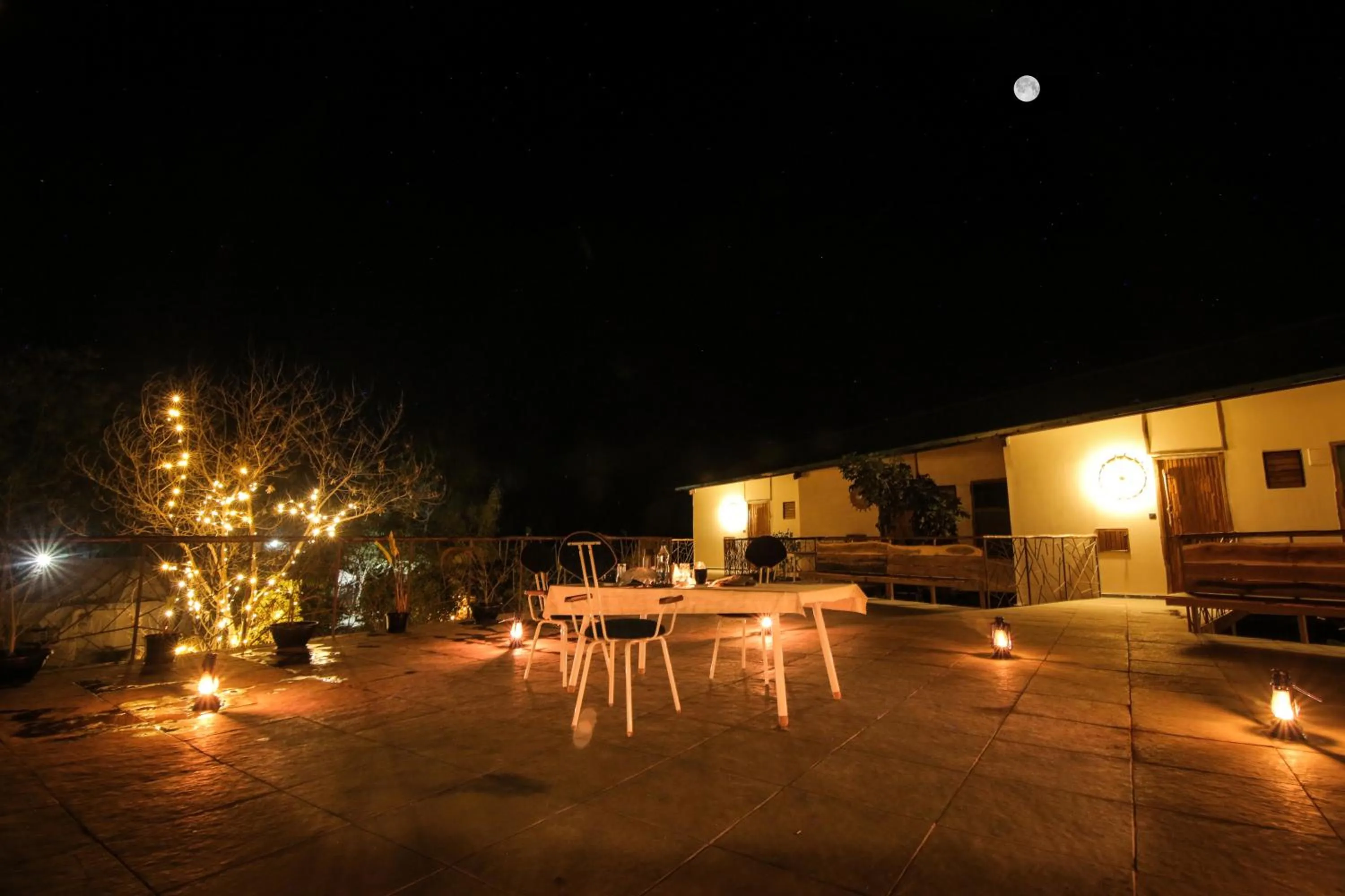 Balcony/Terrace in Tadoba Jungle Camp