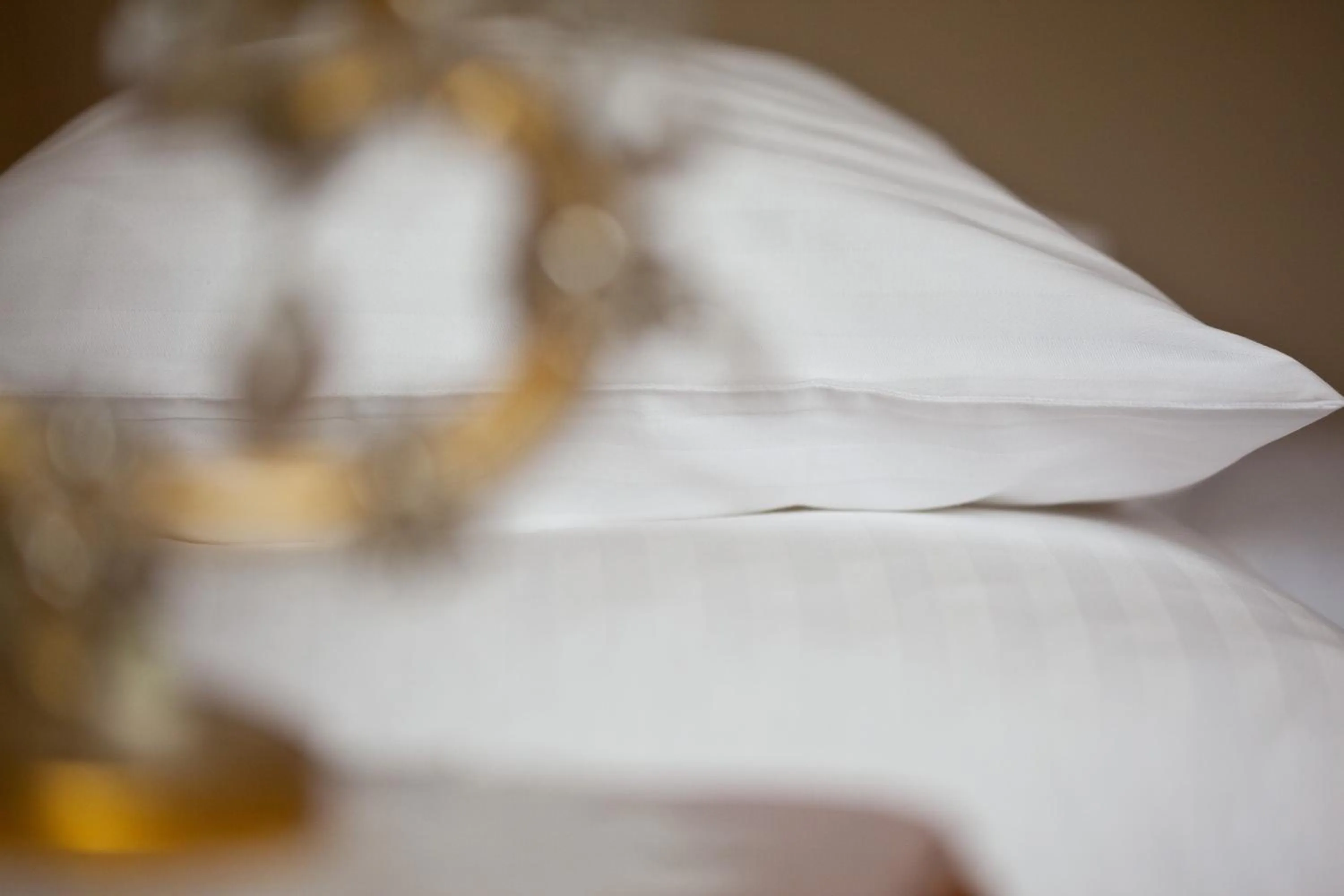 Decorative detail in Hotel Schwalbe