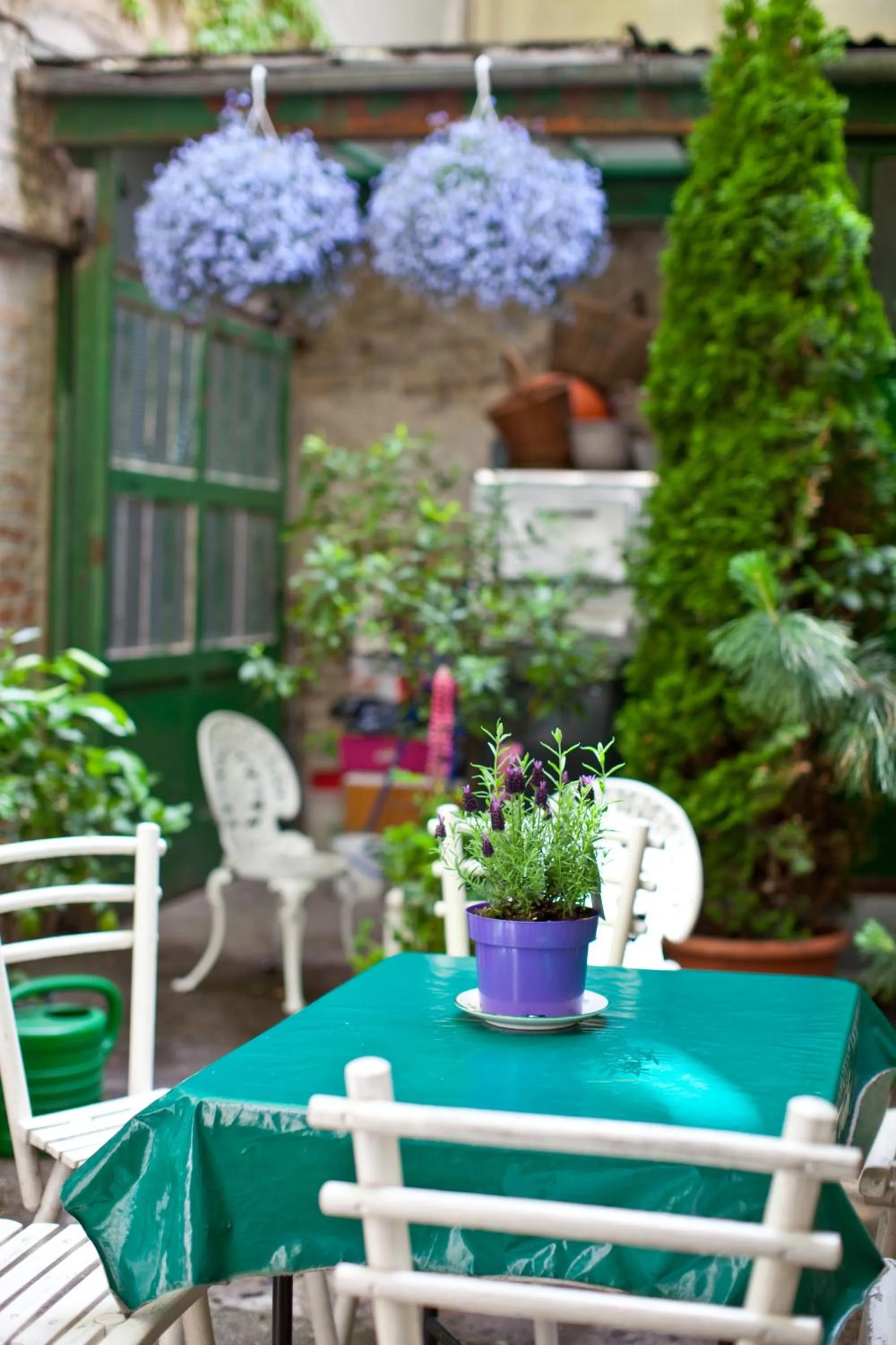 Balcony/Terrace in Hotel Schwalbe