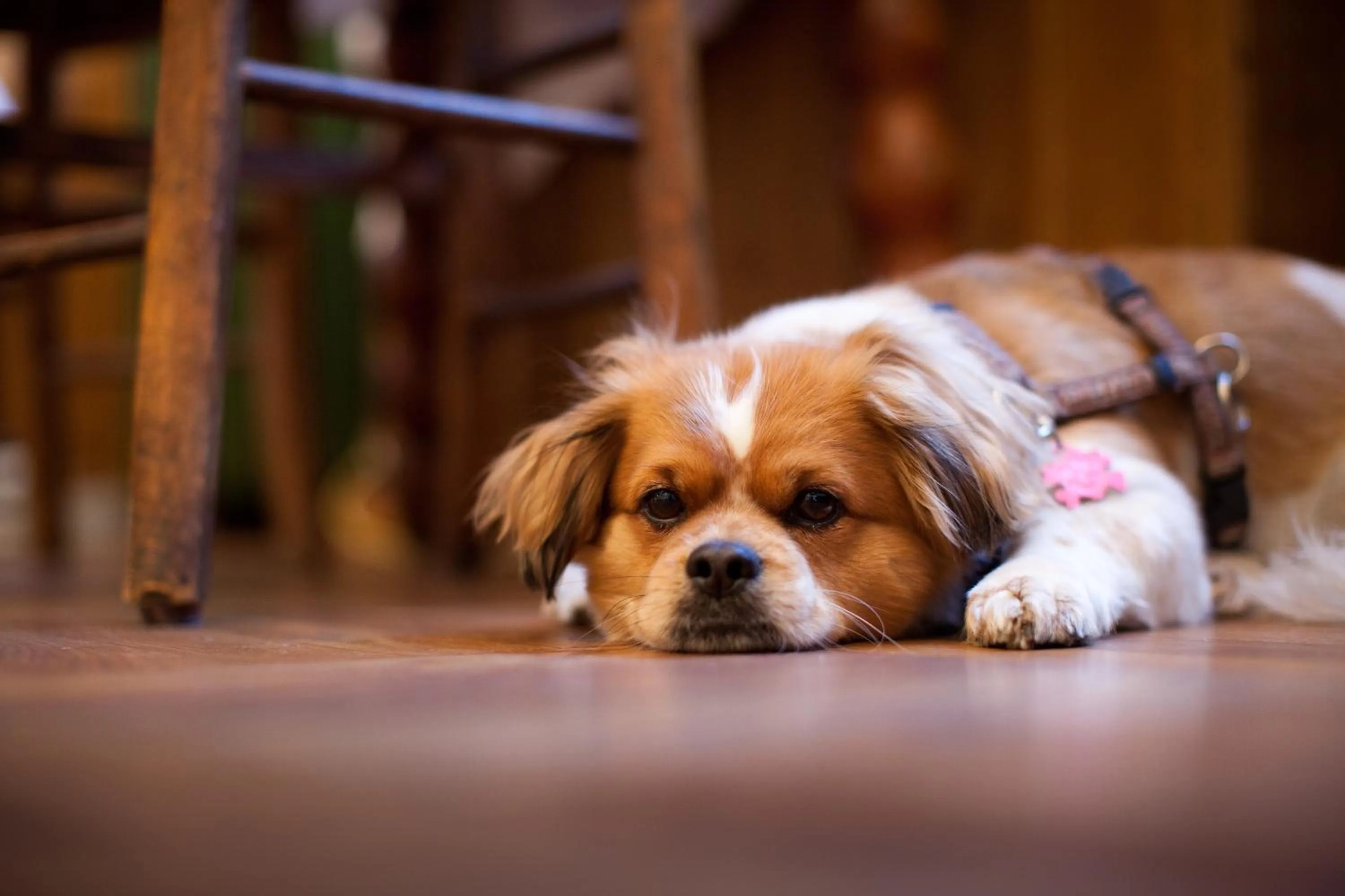 Other in Hotel Schwalbe