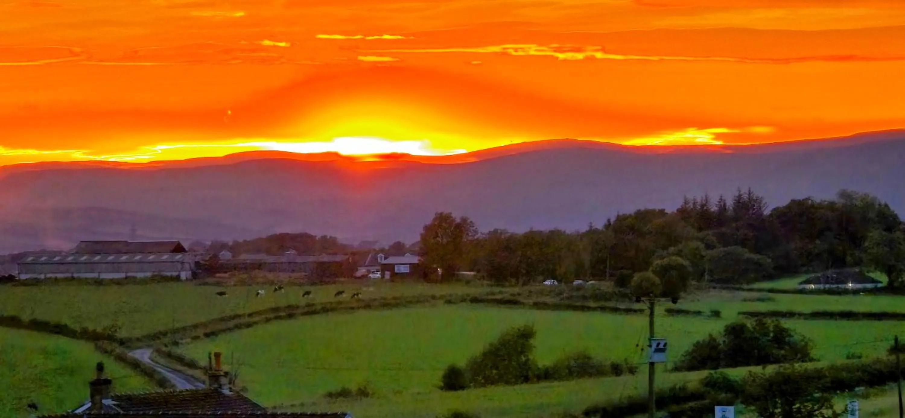 The Green Monkey Lux Suite at The Grumpy Schnauzer B&B Private Hot Tub, Gym, Breakfast, Stunning!