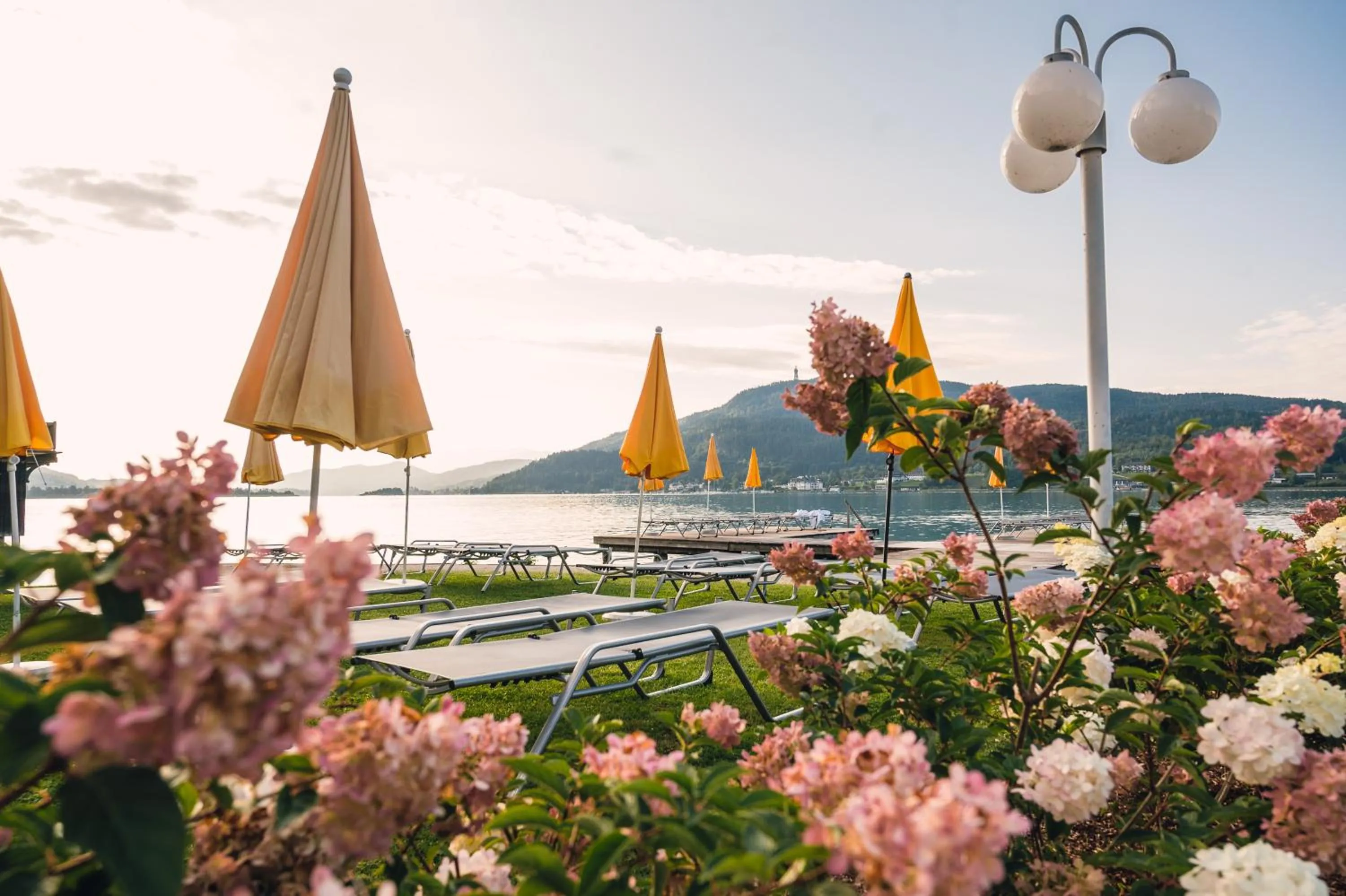 Garden in Werzers Seehotel Wallerwirt