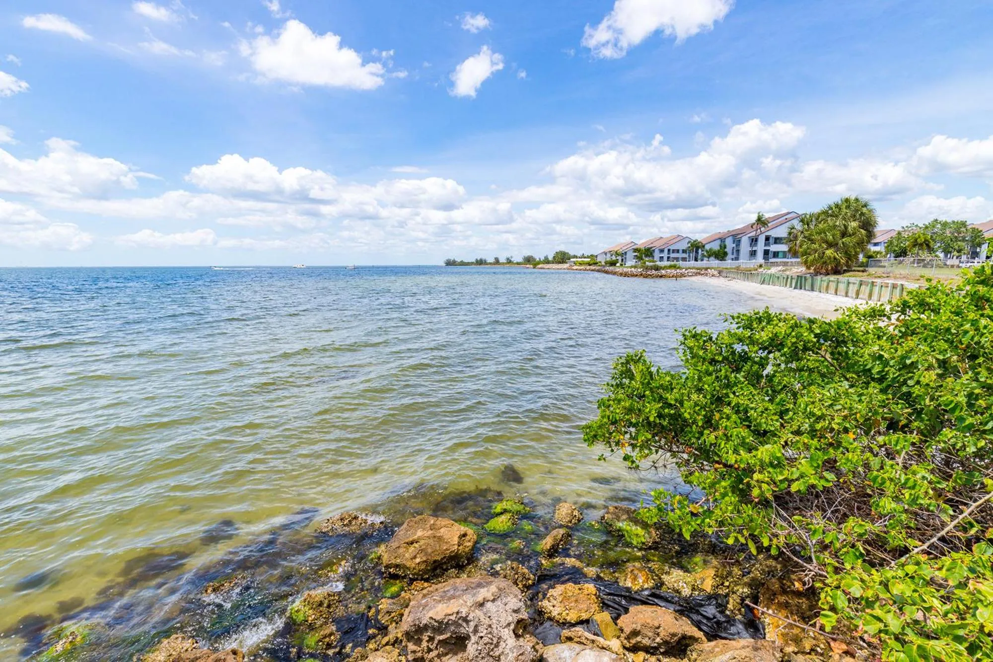 Natural landscape in The Blue Lagoon