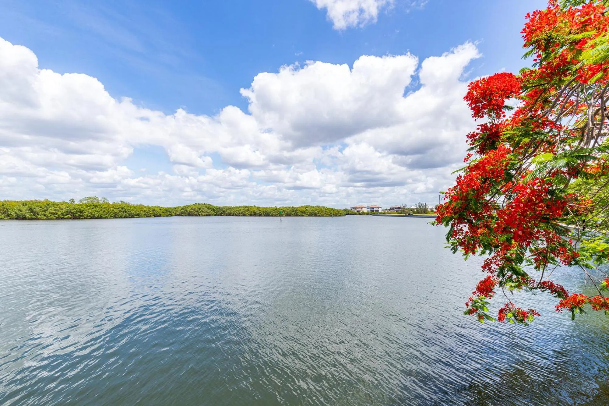Day in The Blue Lagoon