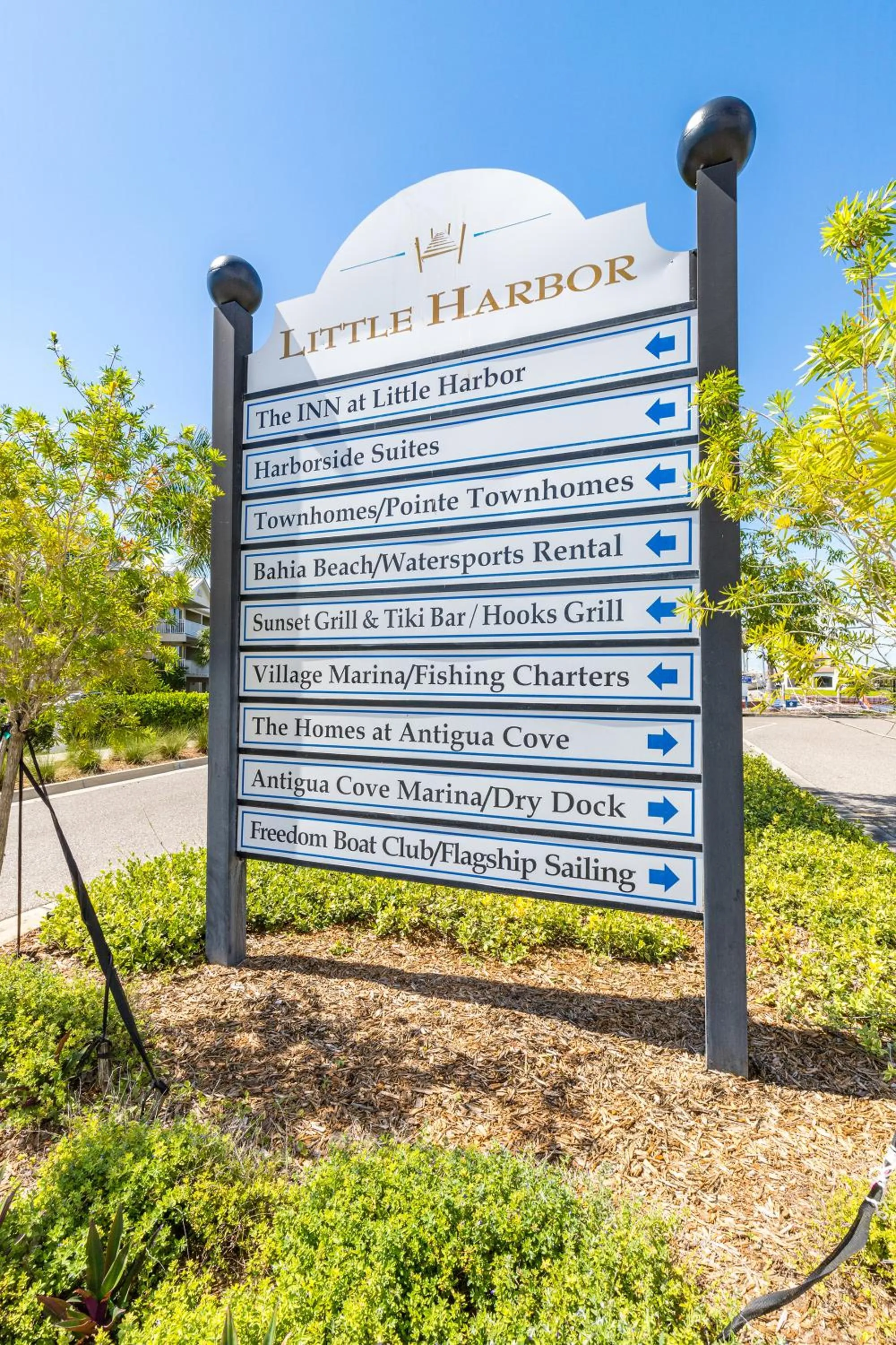 Day in The Blue Lagoon