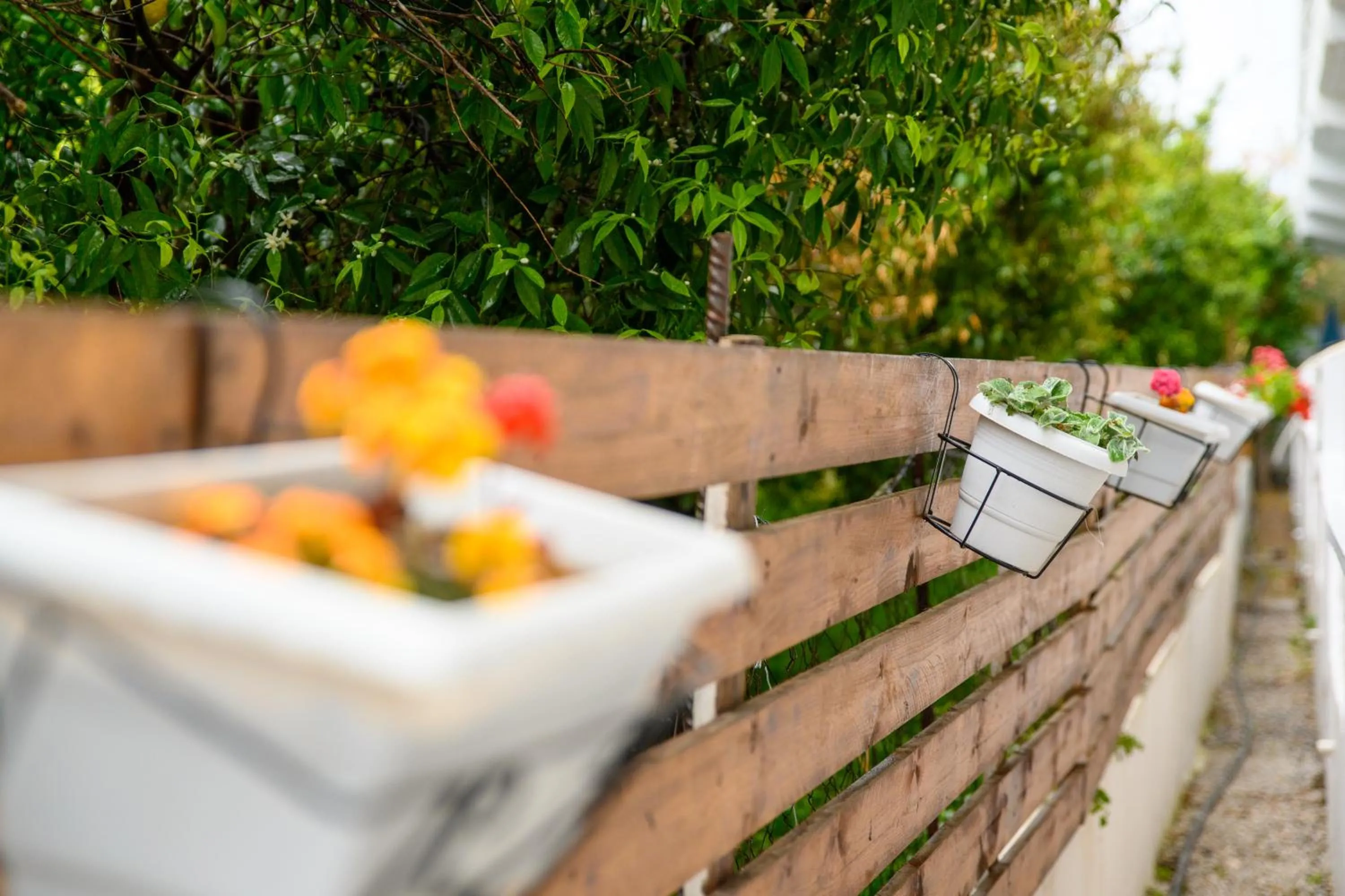 View (from property/room) in Afroditi Superior Apartments