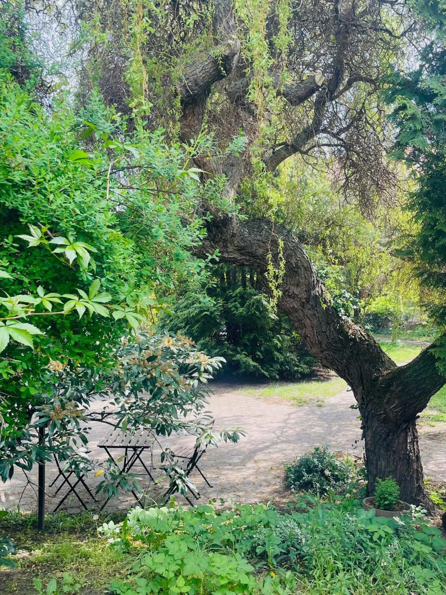 Harzhotel Warnstedter Krug