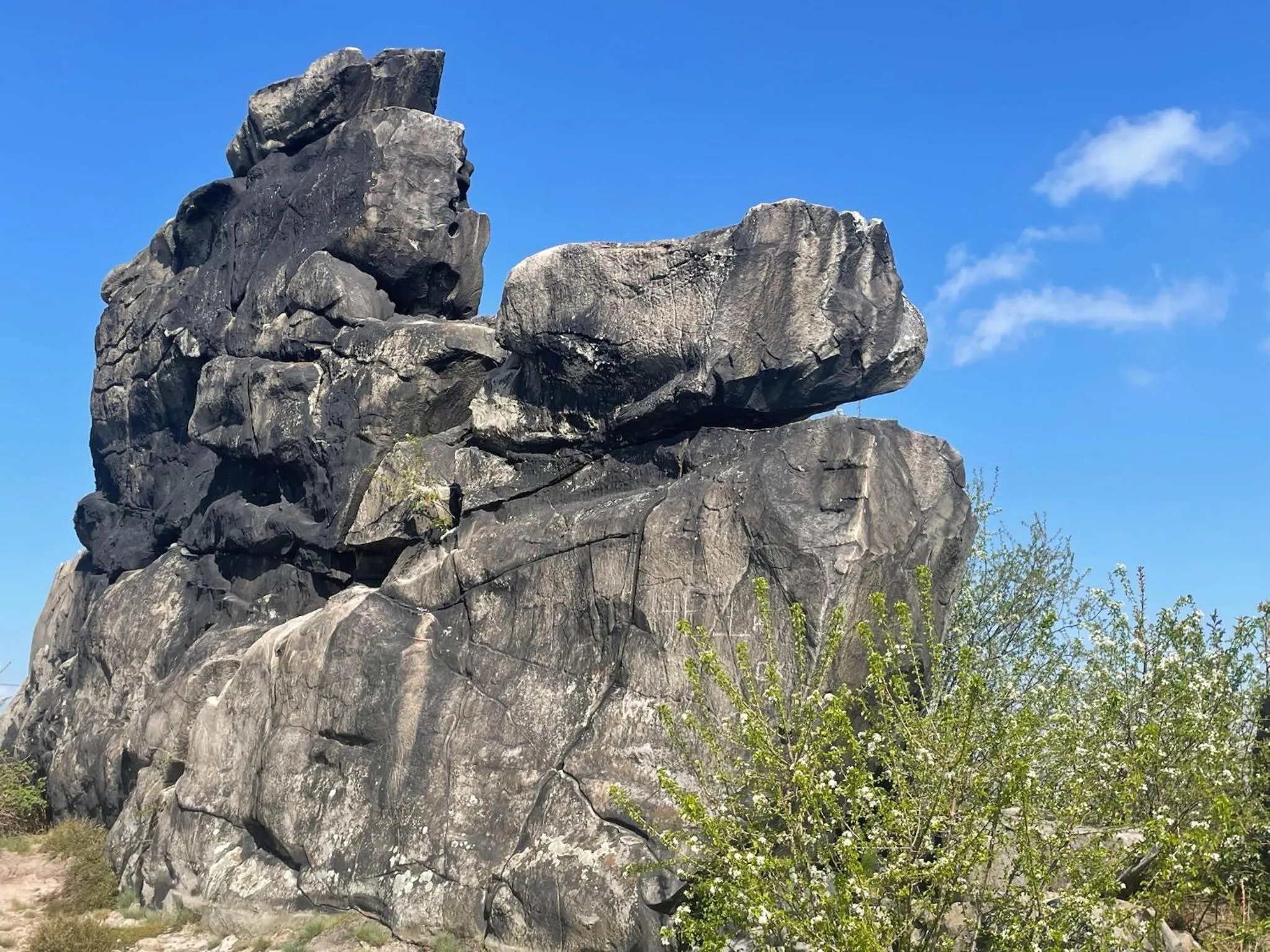 Harzhotel Warnstedter Krug