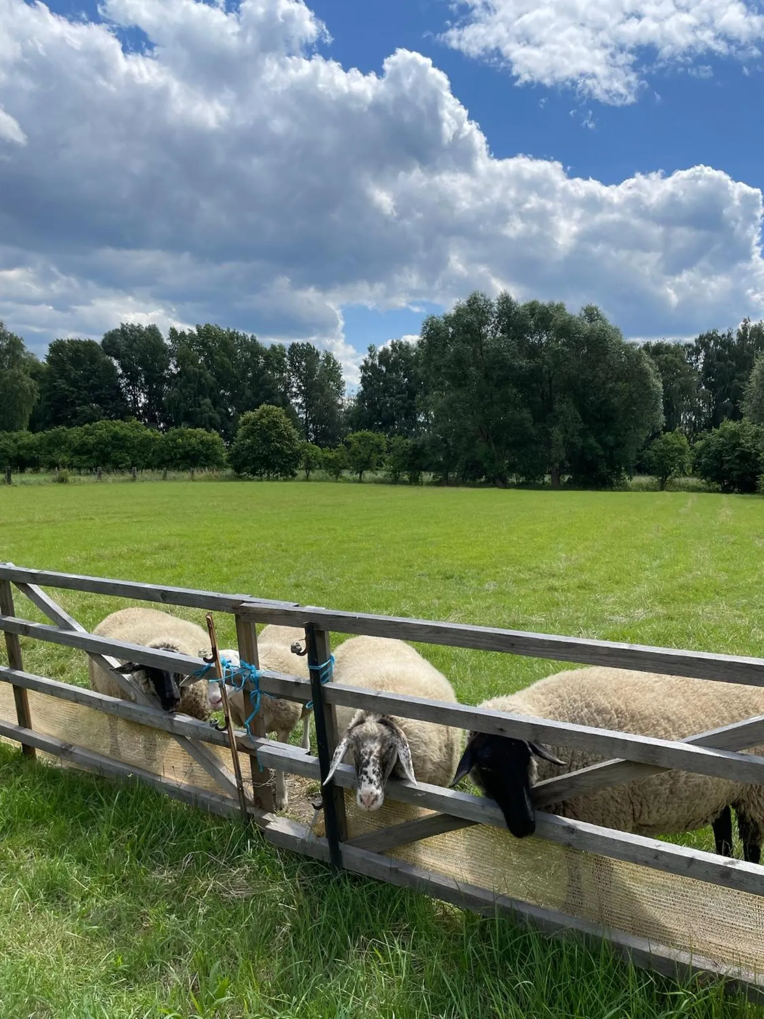 Harzhotel Warnstedter Krug