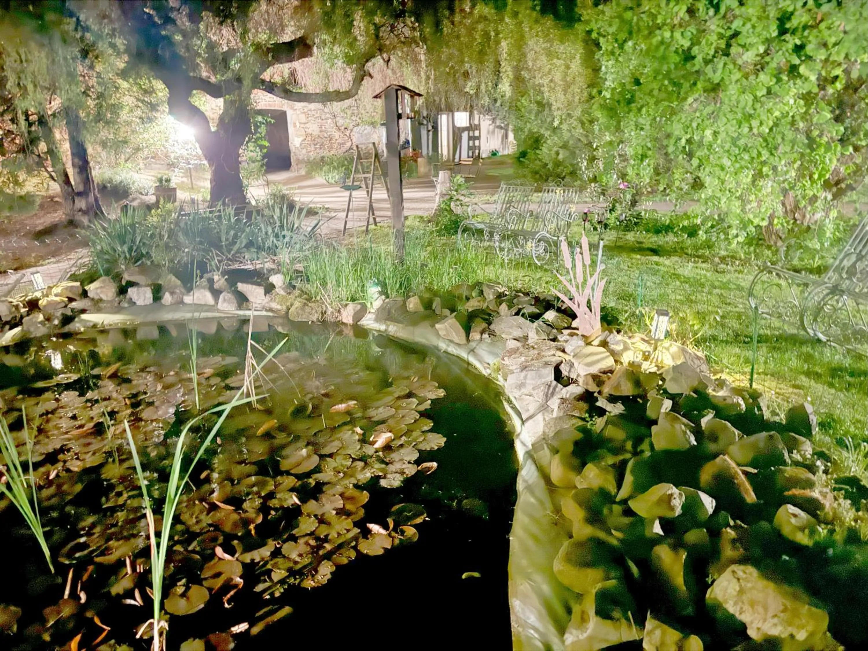 Harzhotel Warnstedter Krug