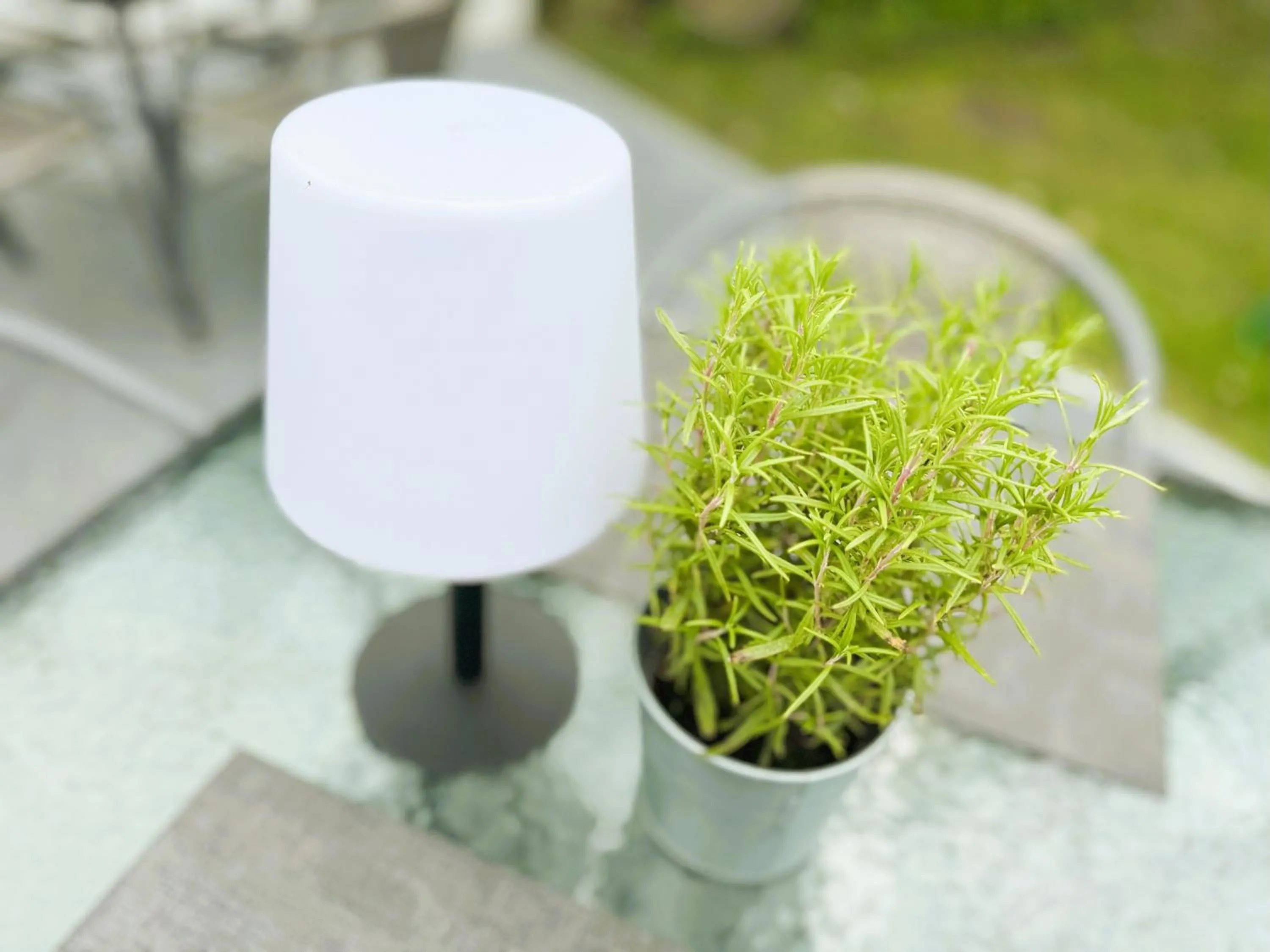 Harzhotel Warnstedter Krug