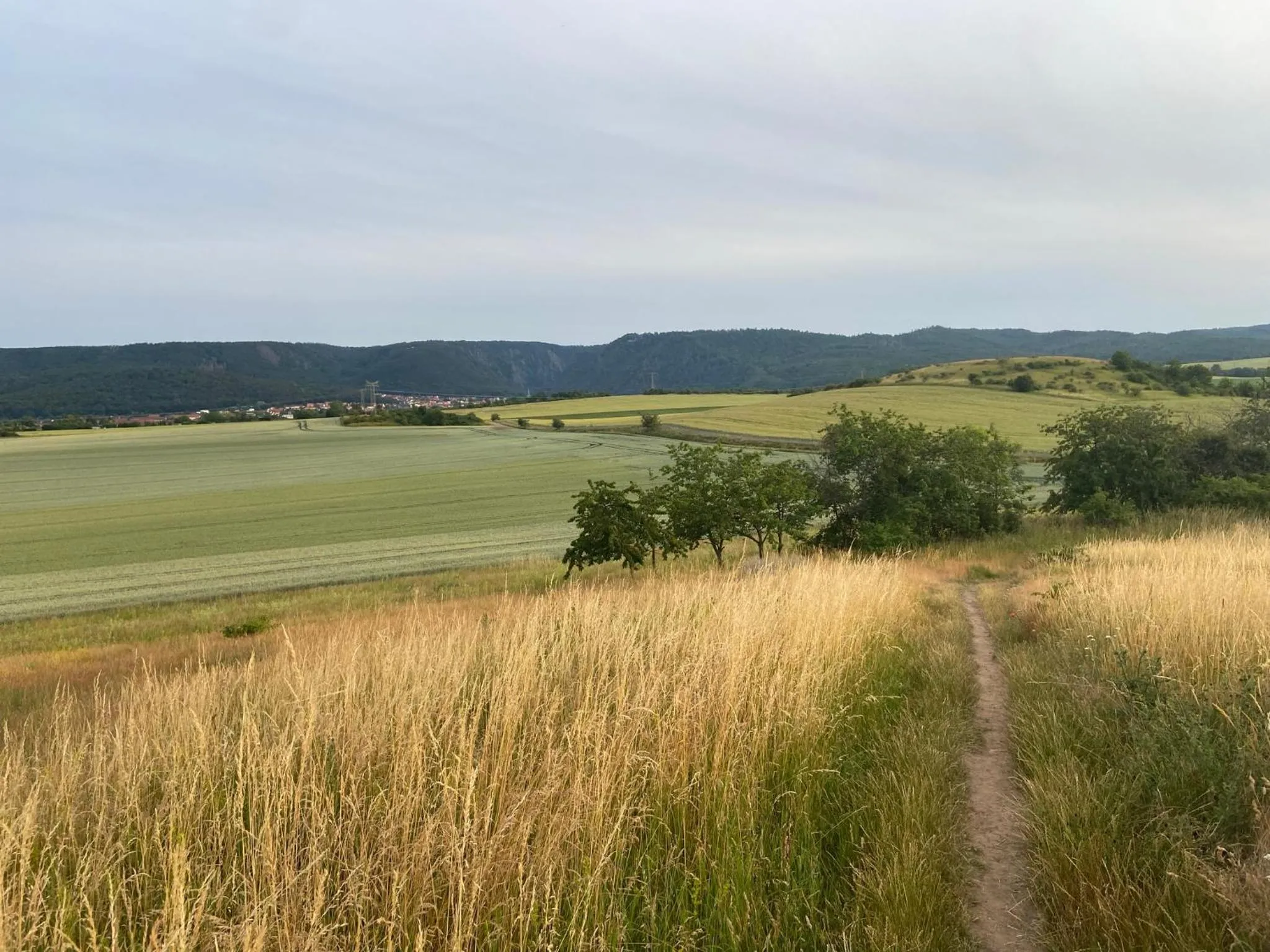 Natural landscape in Harzhotel Warnstedter Krug